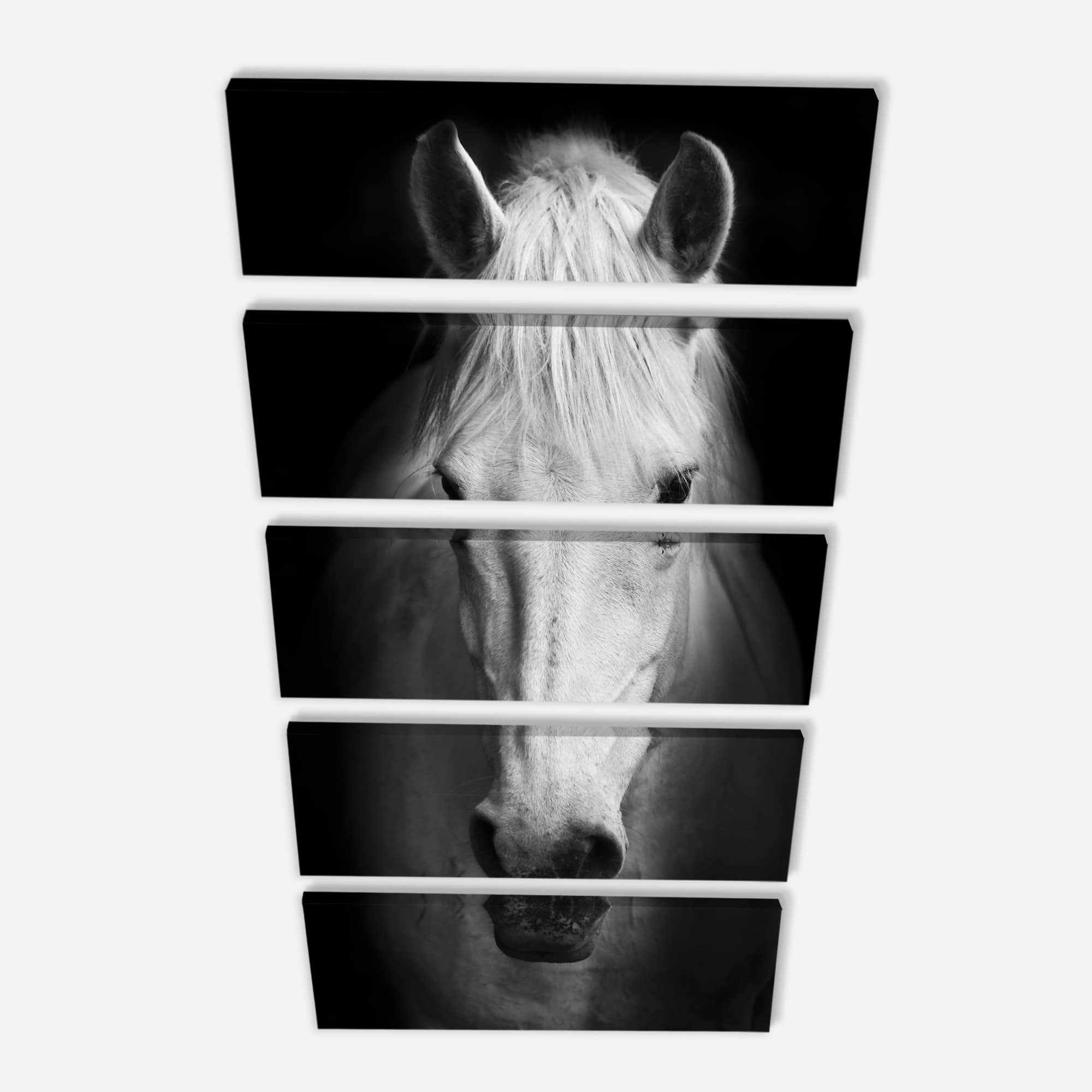 Designart - White Horse Black and White - Animal Canvas Art Print