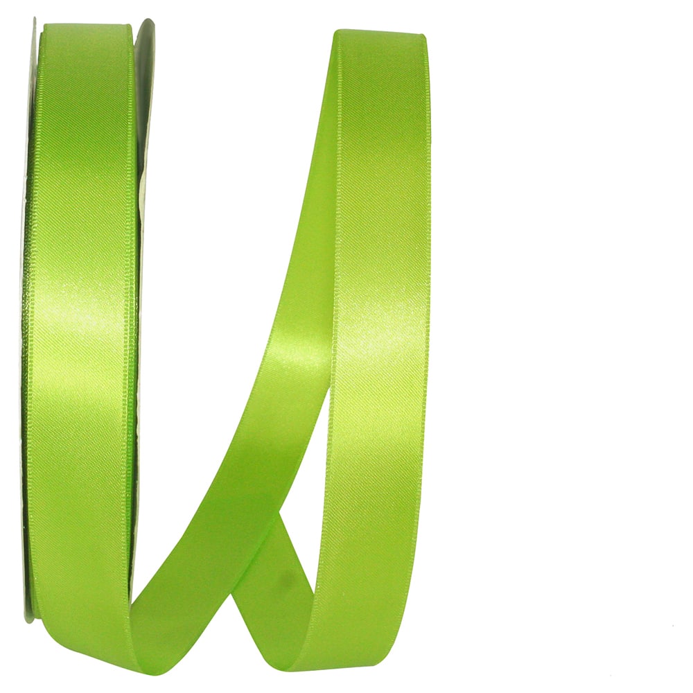 JAM Paper 7/8" x 100yd. Double Face Satin Allure Ribbon