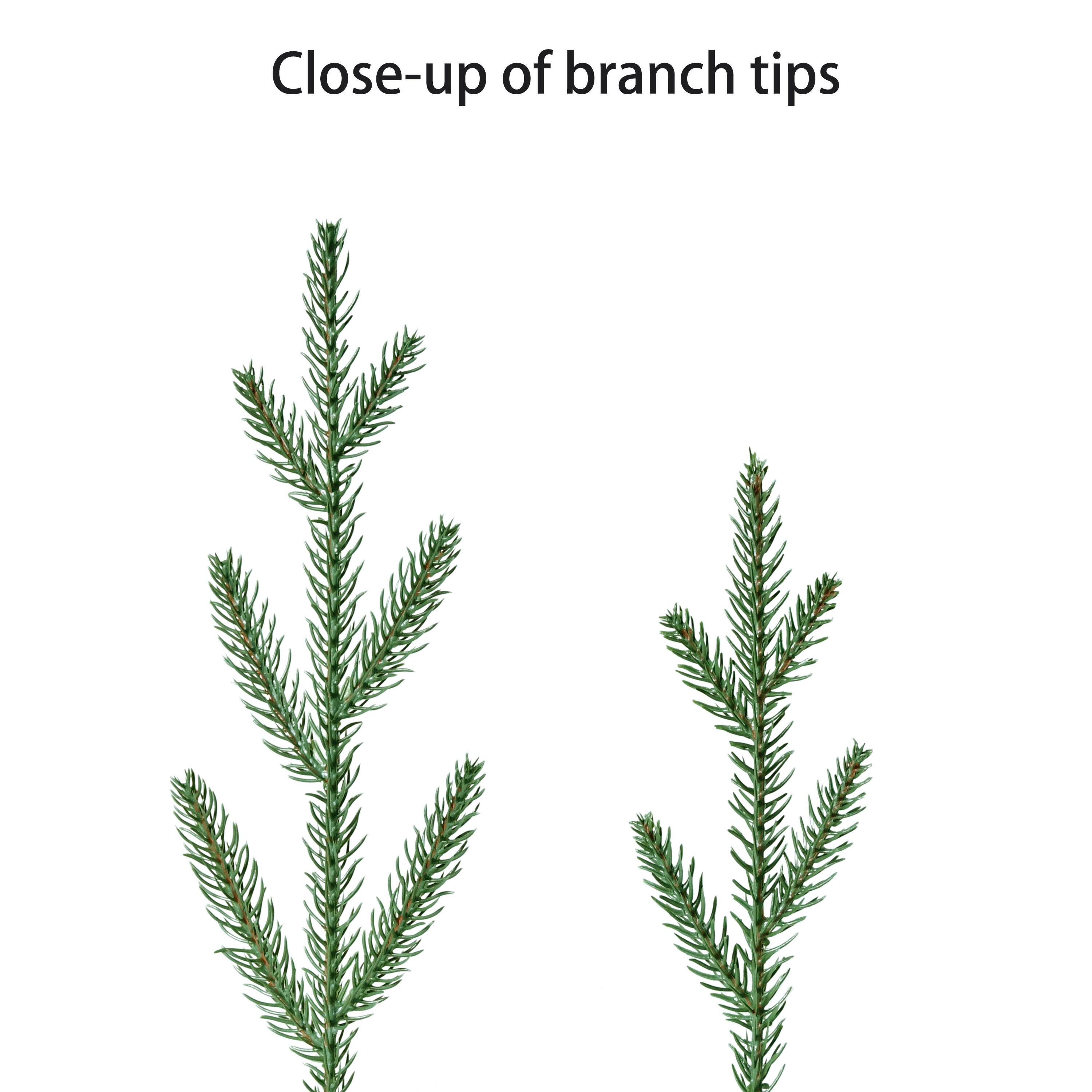 3ft. Pre-Lit Artificial Christmas Tree in Burlap Base