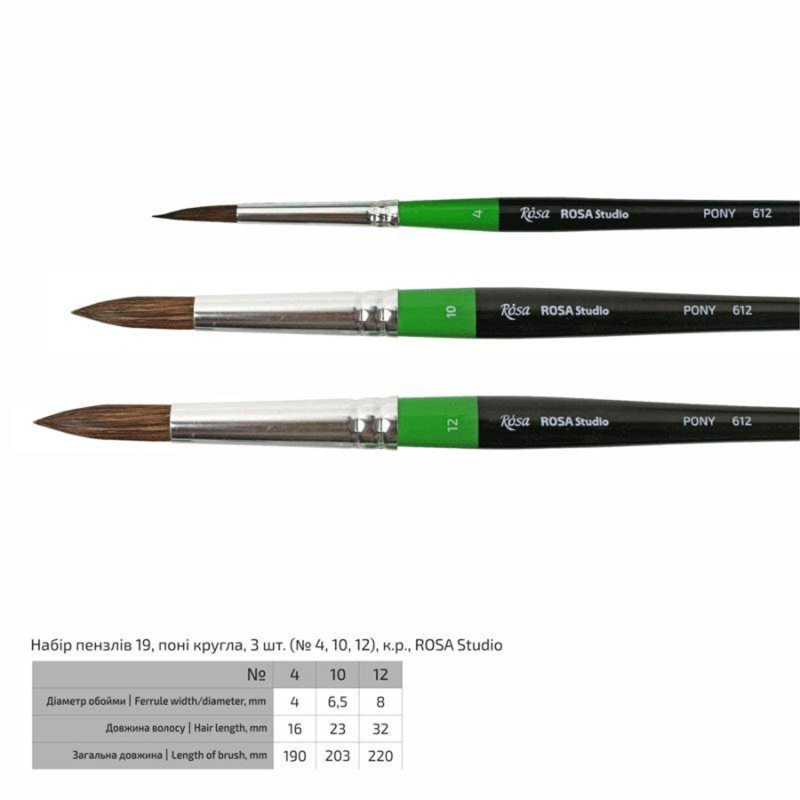 Rosa Studio 3 Piece Short Handle Pony Round Paint Brushes Set 19
