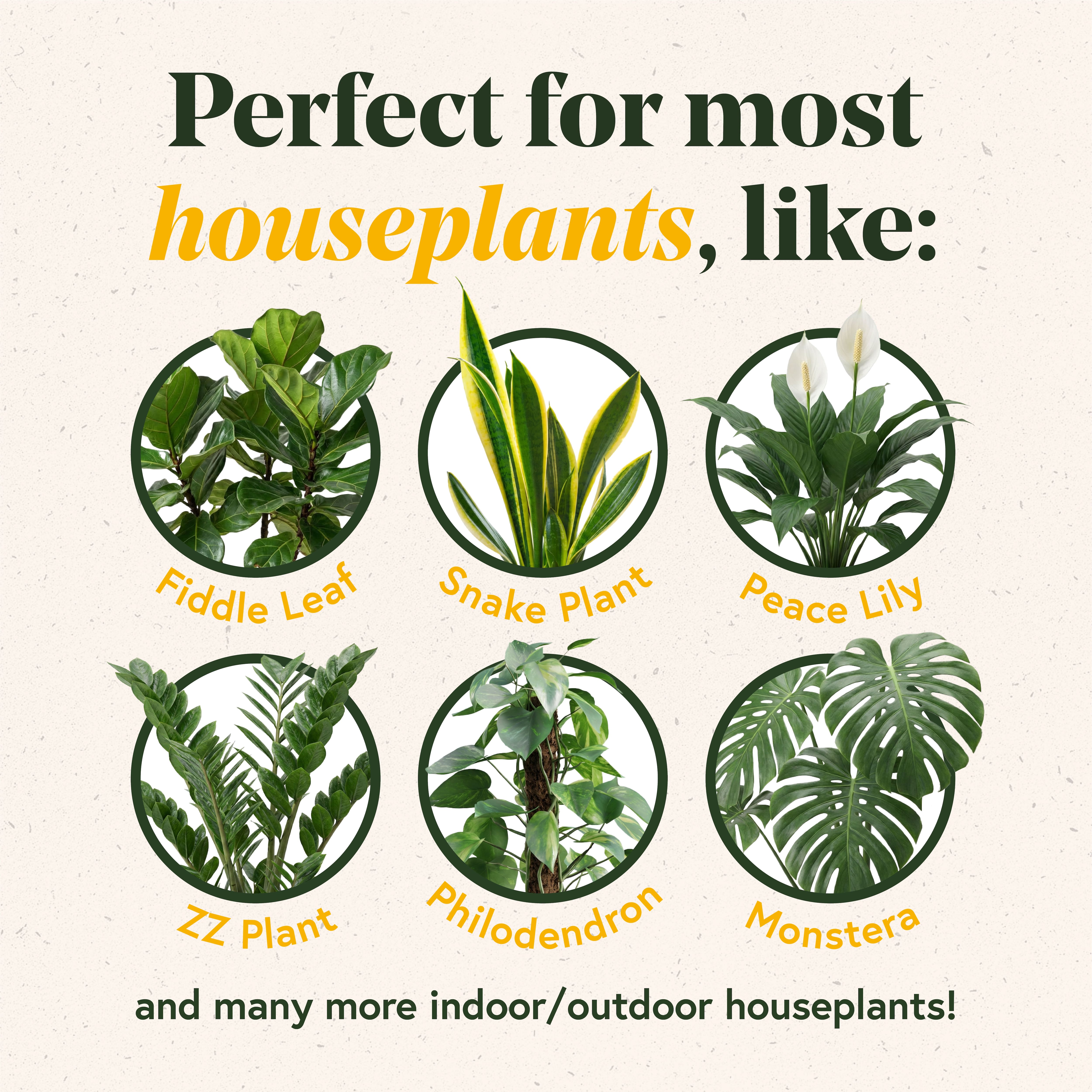 We The WIld™ 8.8oz. Enrich Powder Slow-Release Organic Soil Amendment & Plant Food for Houseplants