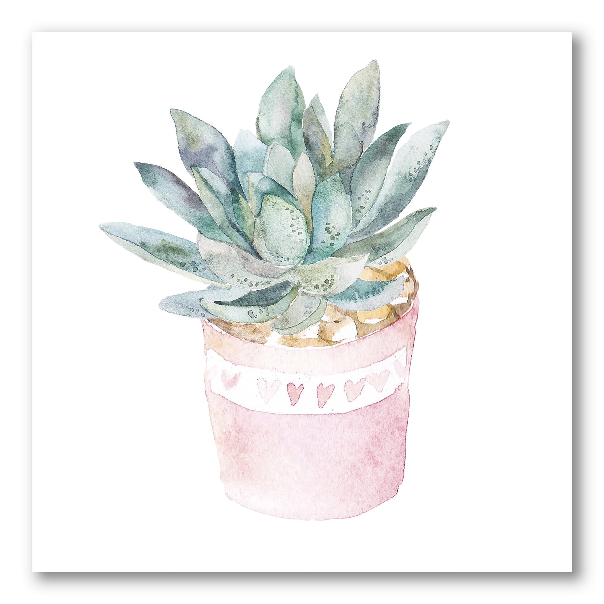 Designart - Cactus and Succulent House Plants II - Farmhouse Canvas Wall Art Print