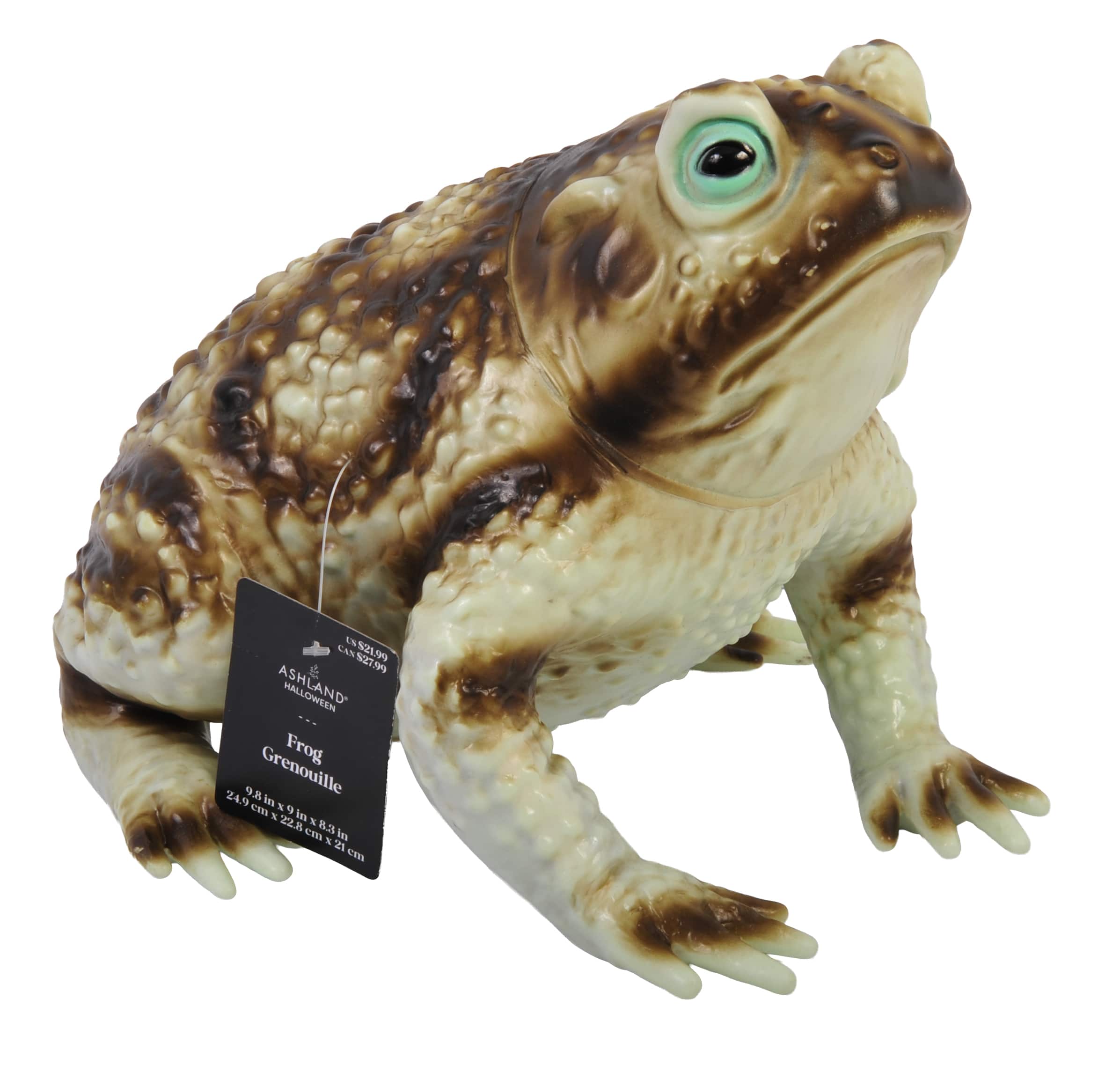 10" Brown Frog by Ashland®