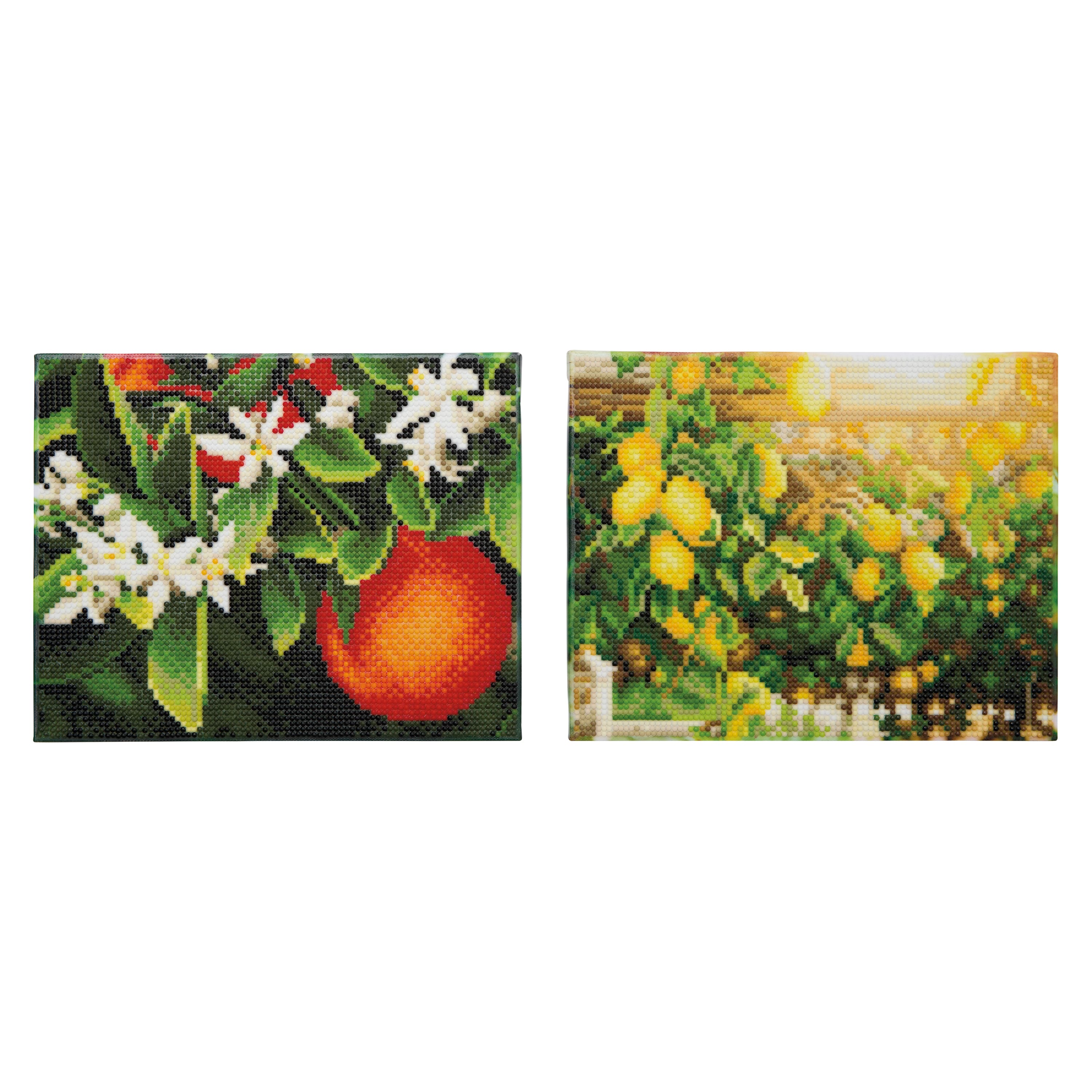 8" x 10" Citrus Trees Diamond Art Kit by Make Market®