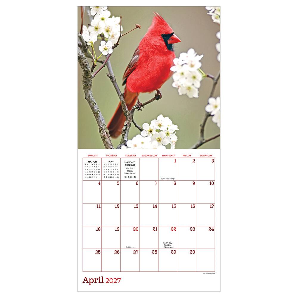 2027 Backyard Birds Mini Calendar