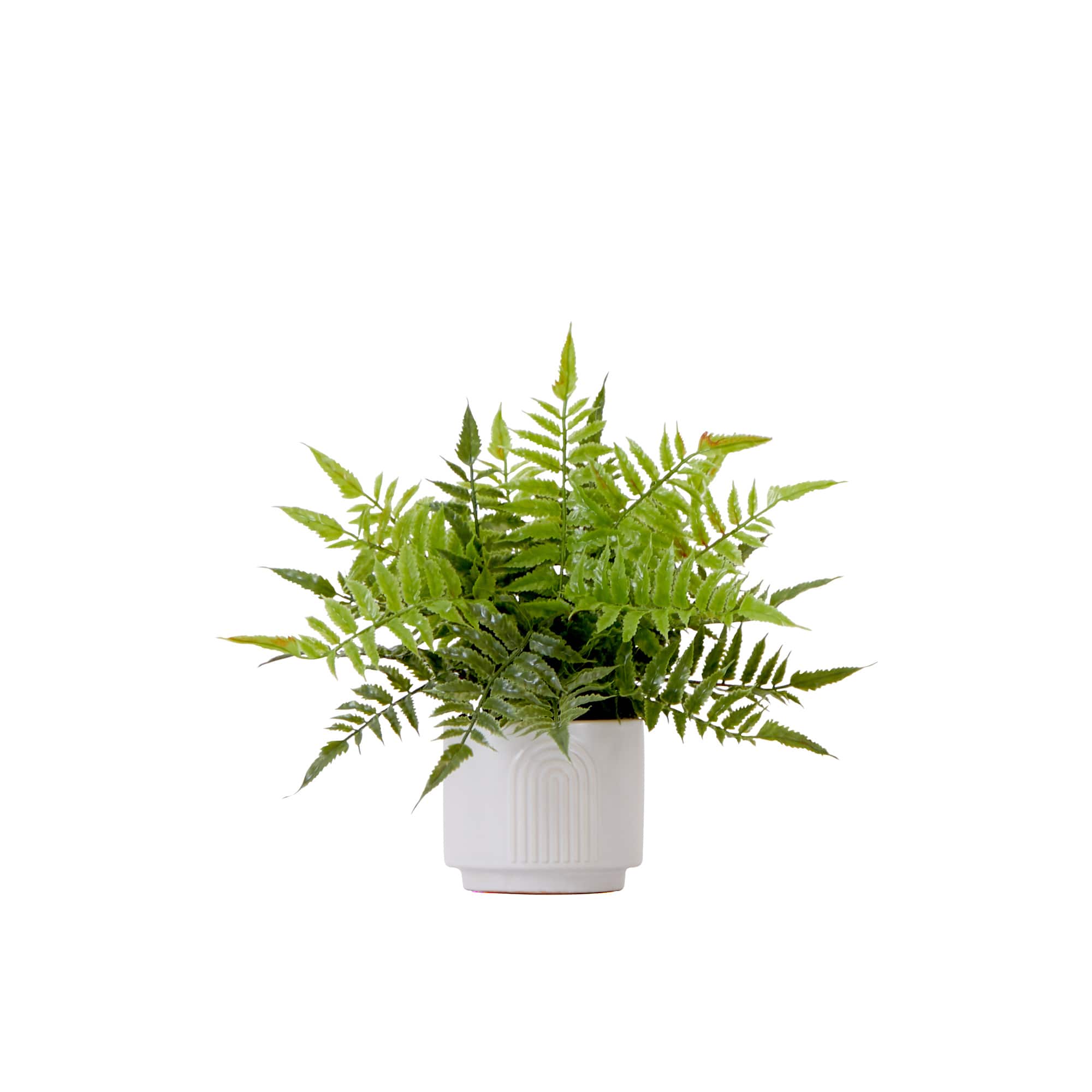 13" Artificial Boston Fern Plant with Decorative Planter 