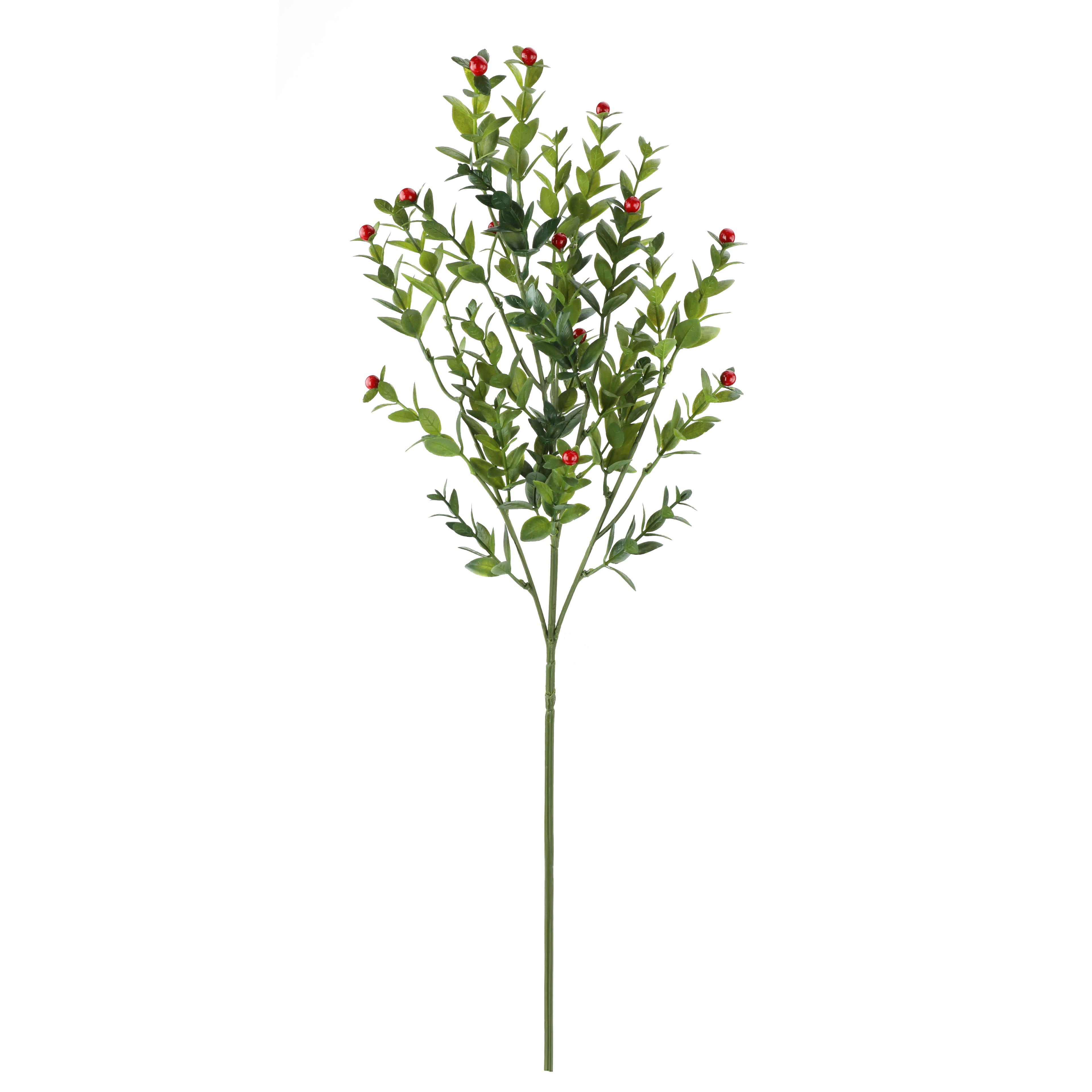 30" Boxwood & red Berry Stem by Ashland®