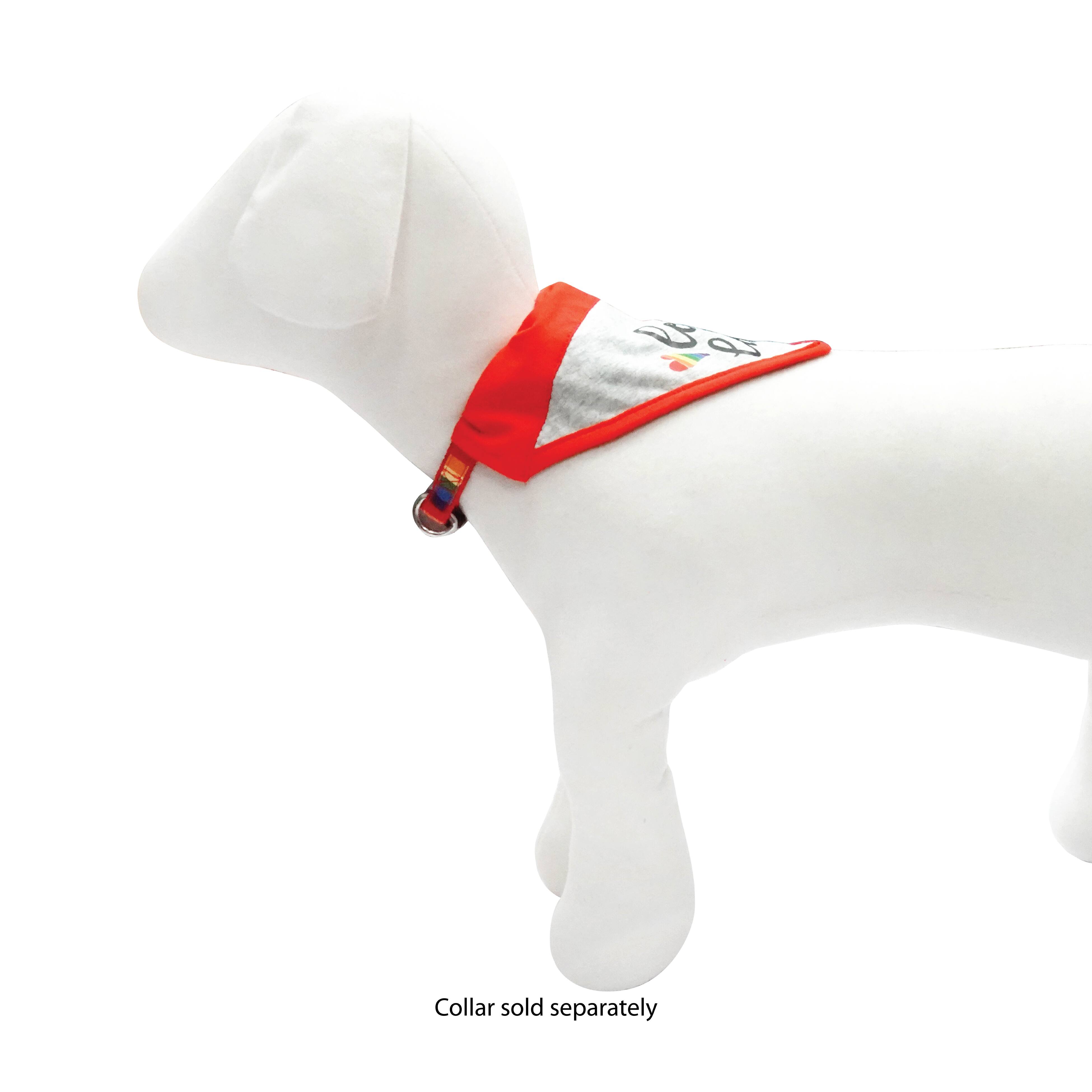 Best Furry Friends Pride Bandana Slide L-XL