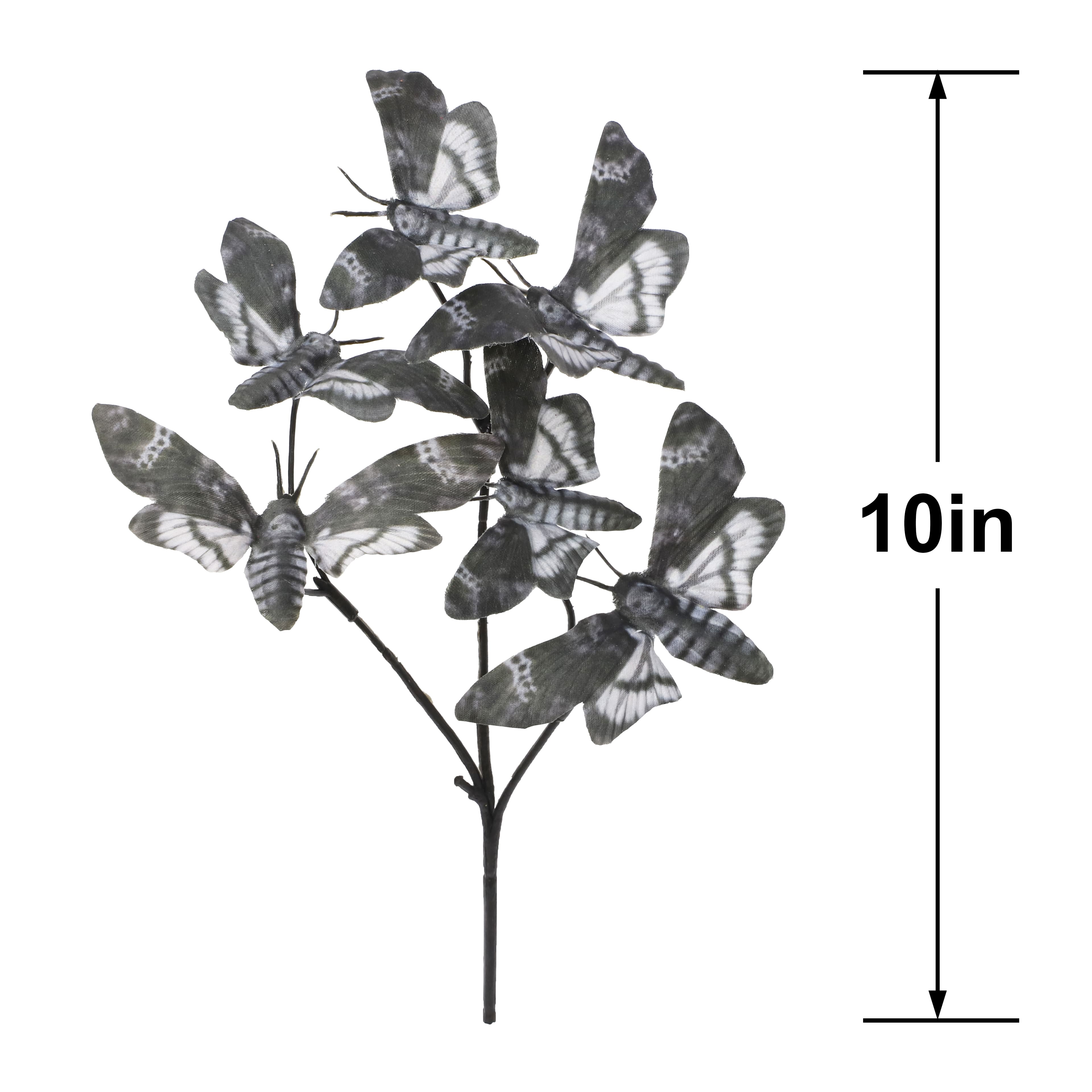 10" Grey Moth Pick by Ashland®