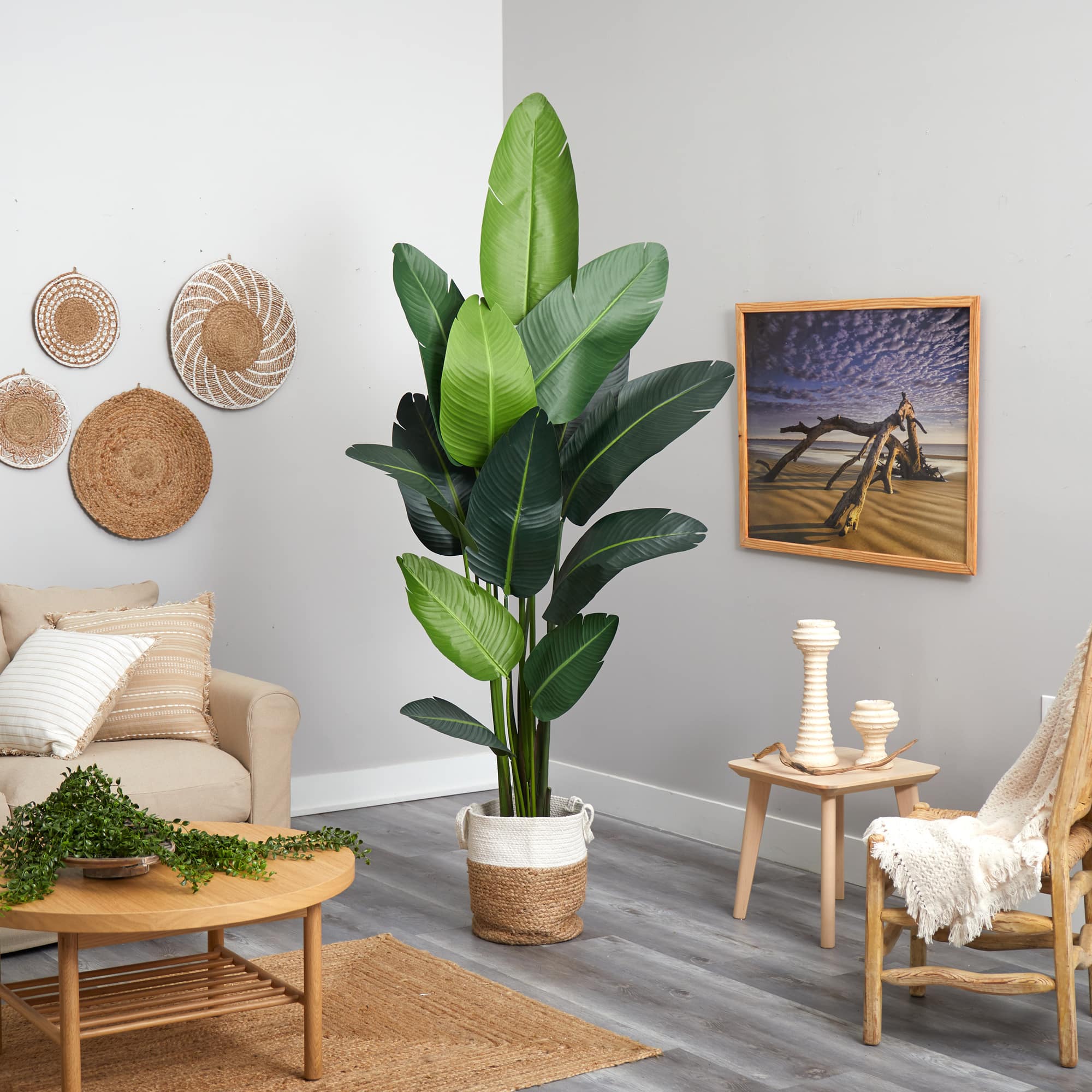 7ft. Artificial Travelers Palm Tree with Basket
