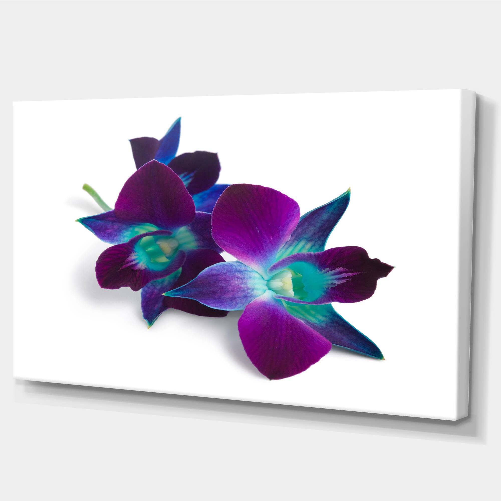 Designart - Deep Purple Orchid Flowers on White