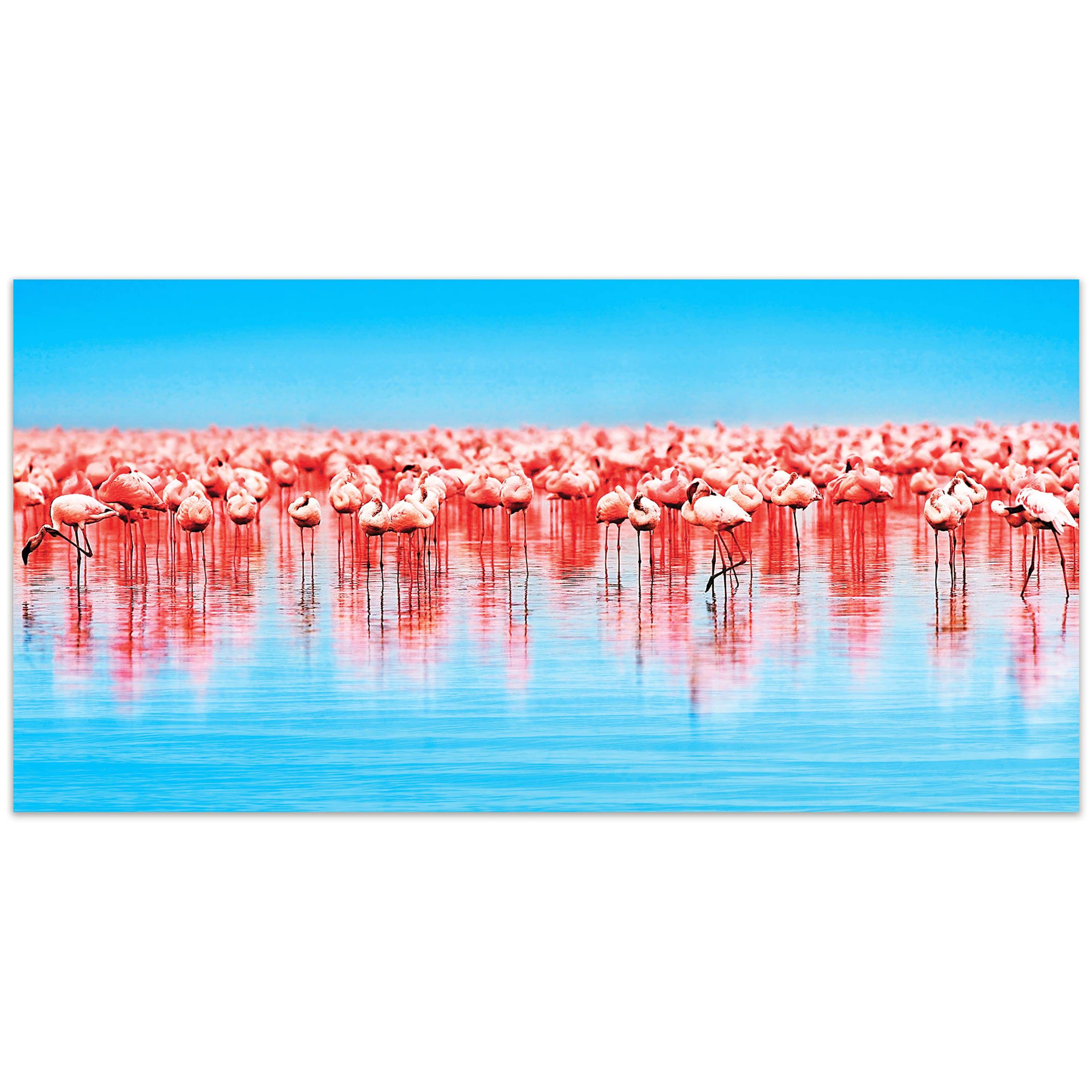 Empire Art Direct 24" x 48" Flamingo Flock Frameless Free Floating Tempered Glass Wall Art