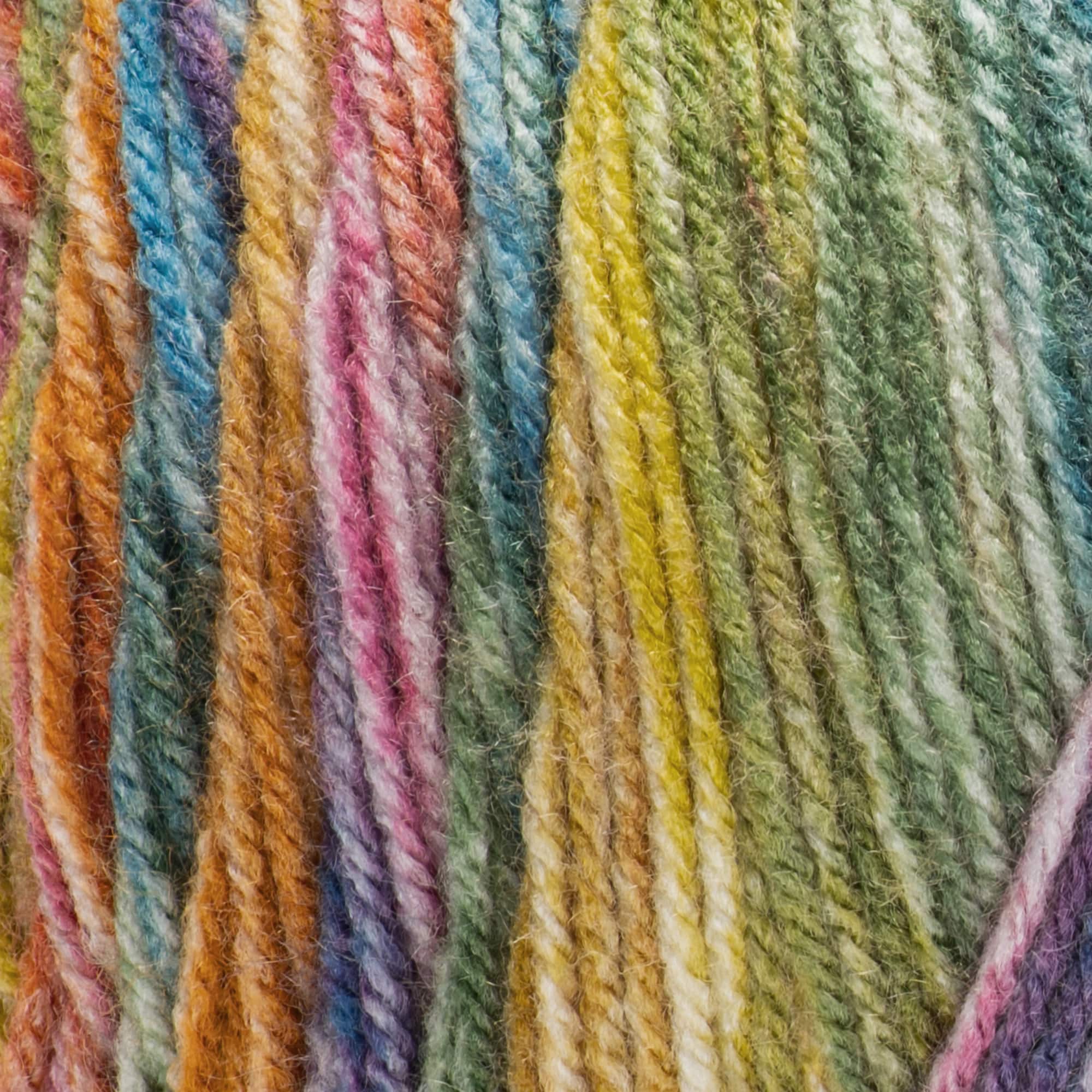 2 Pack Red Heart® Super Saver® Bitty Stripes™ Yarn