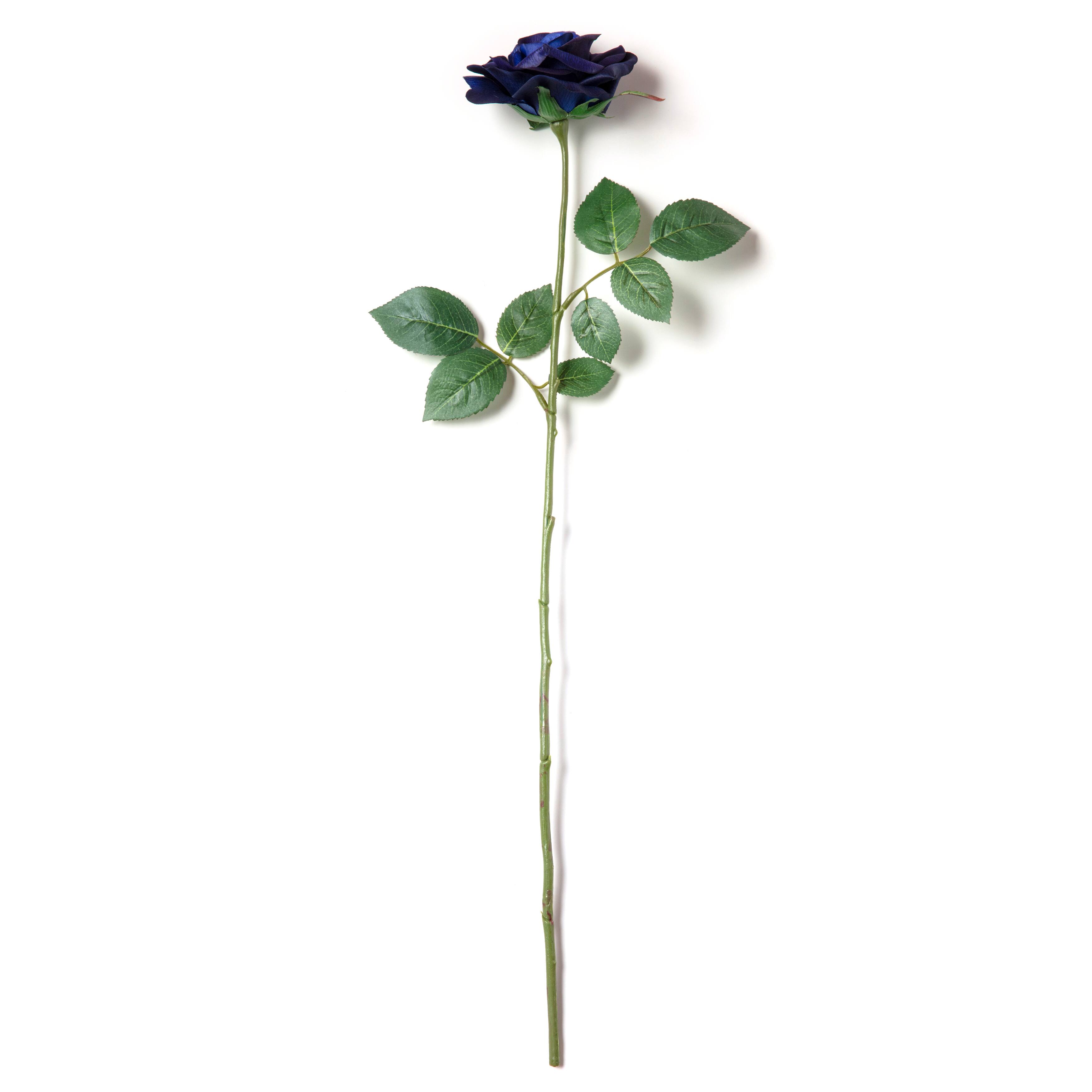 Navy Princess Rose Stem by Ashland®