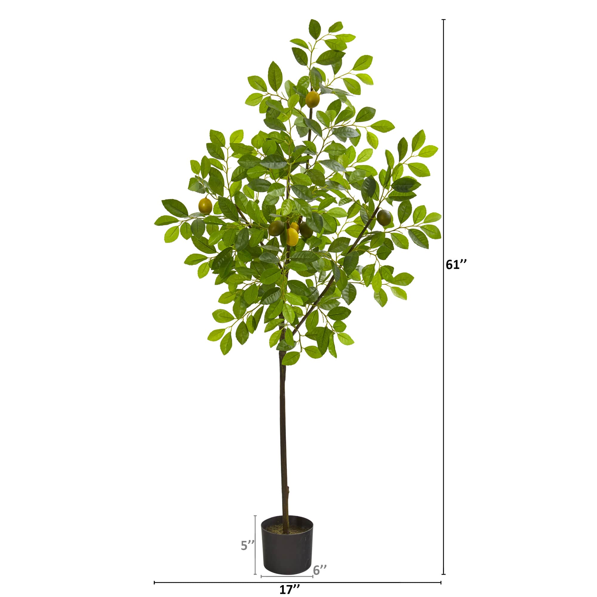 5ft. Potted Lemon Tree