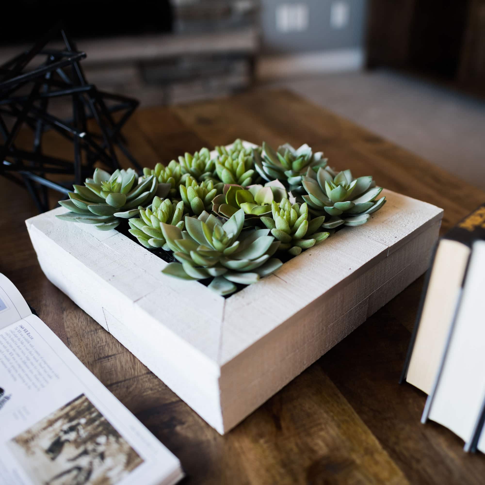 12" x 12" Green Succulent Arrangement