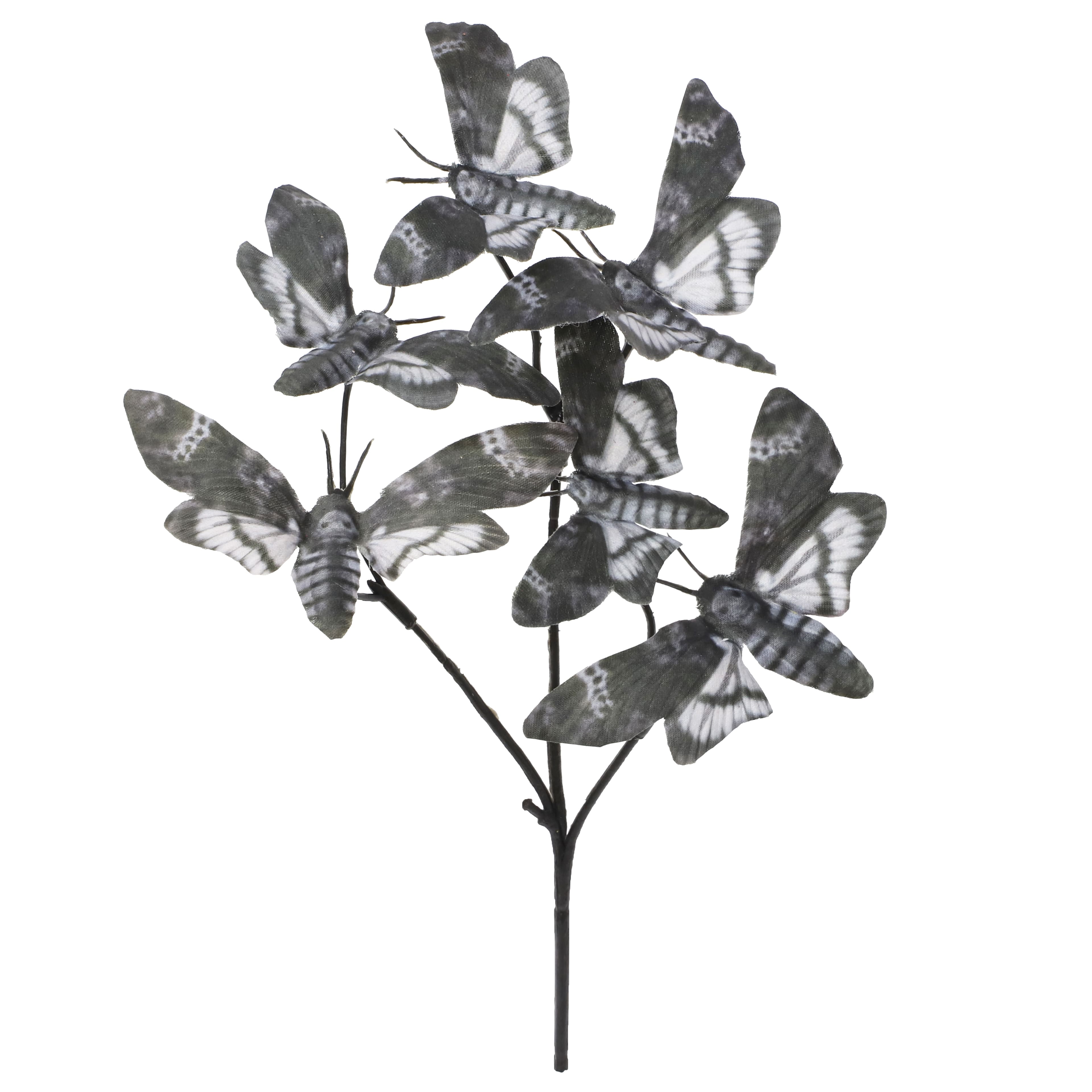 10" Grey Moth Pick by Ashland®