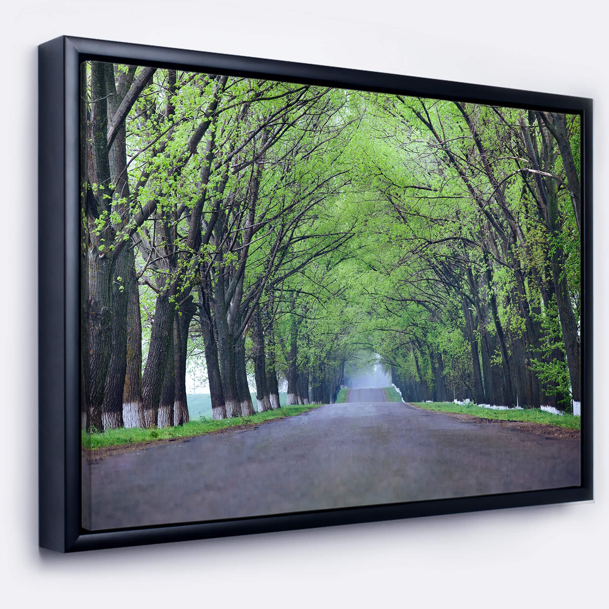 Designart - Arched Trees Over Country Road - Landscape Photography Canvas Print in Black Frame