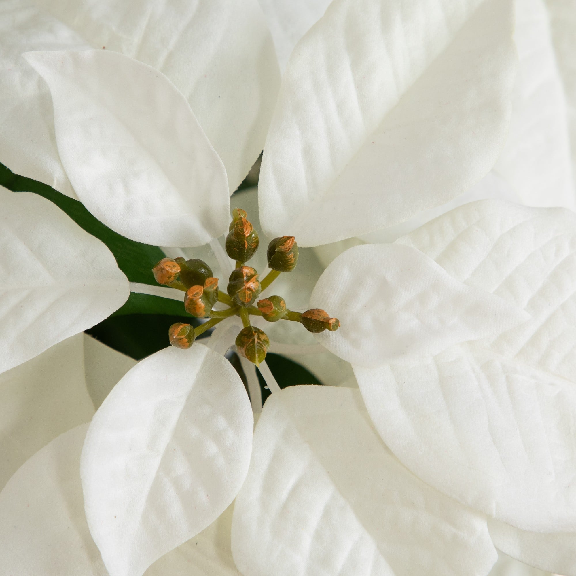Nearly Natural 30" White Artificial Grand Velvet Poinsettia Arrangement in Red Wrapped Planter