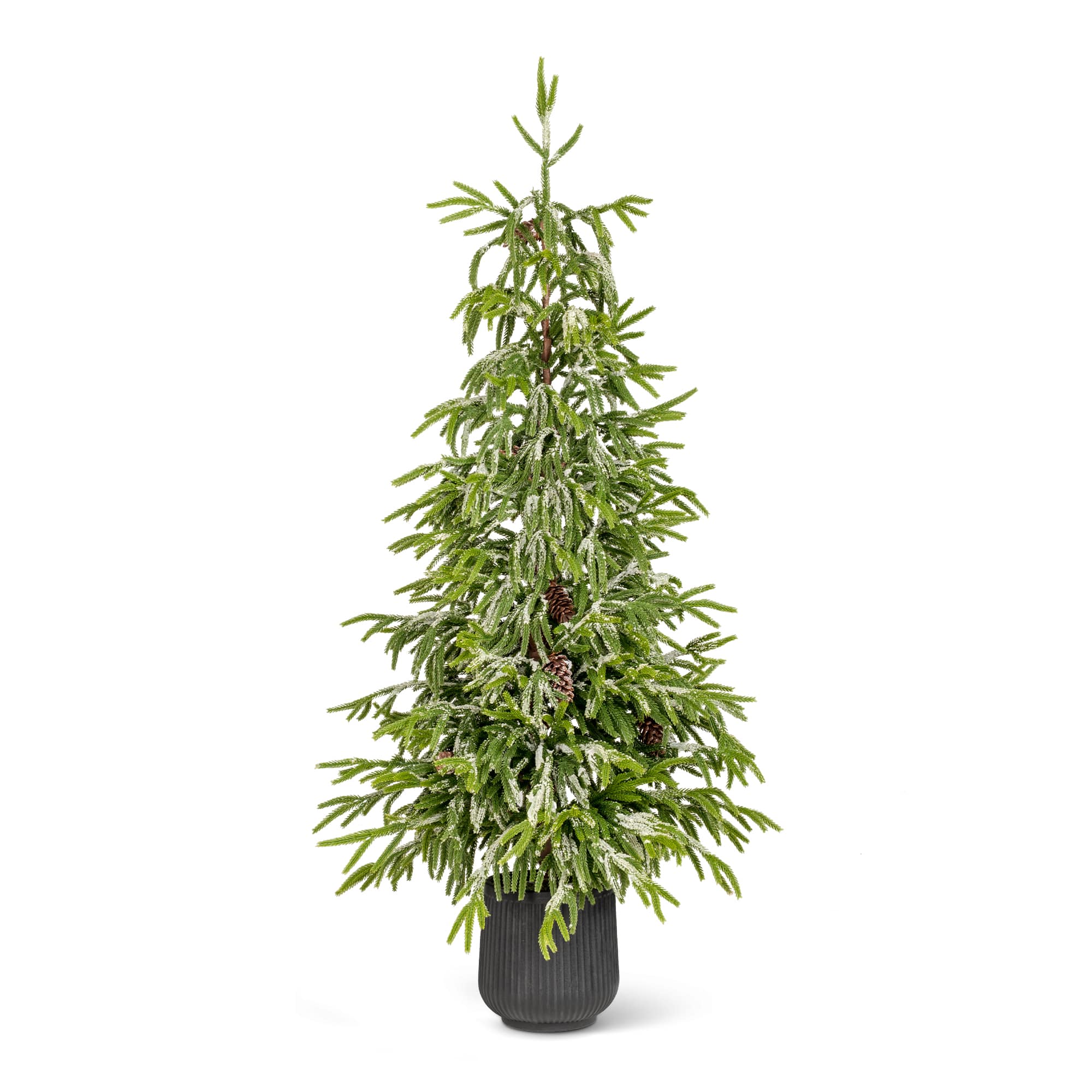 Glitzhome® 3ft. Unlit Frosted Norfolk Pine with Pinecones Artificial Christmas Porch Tree