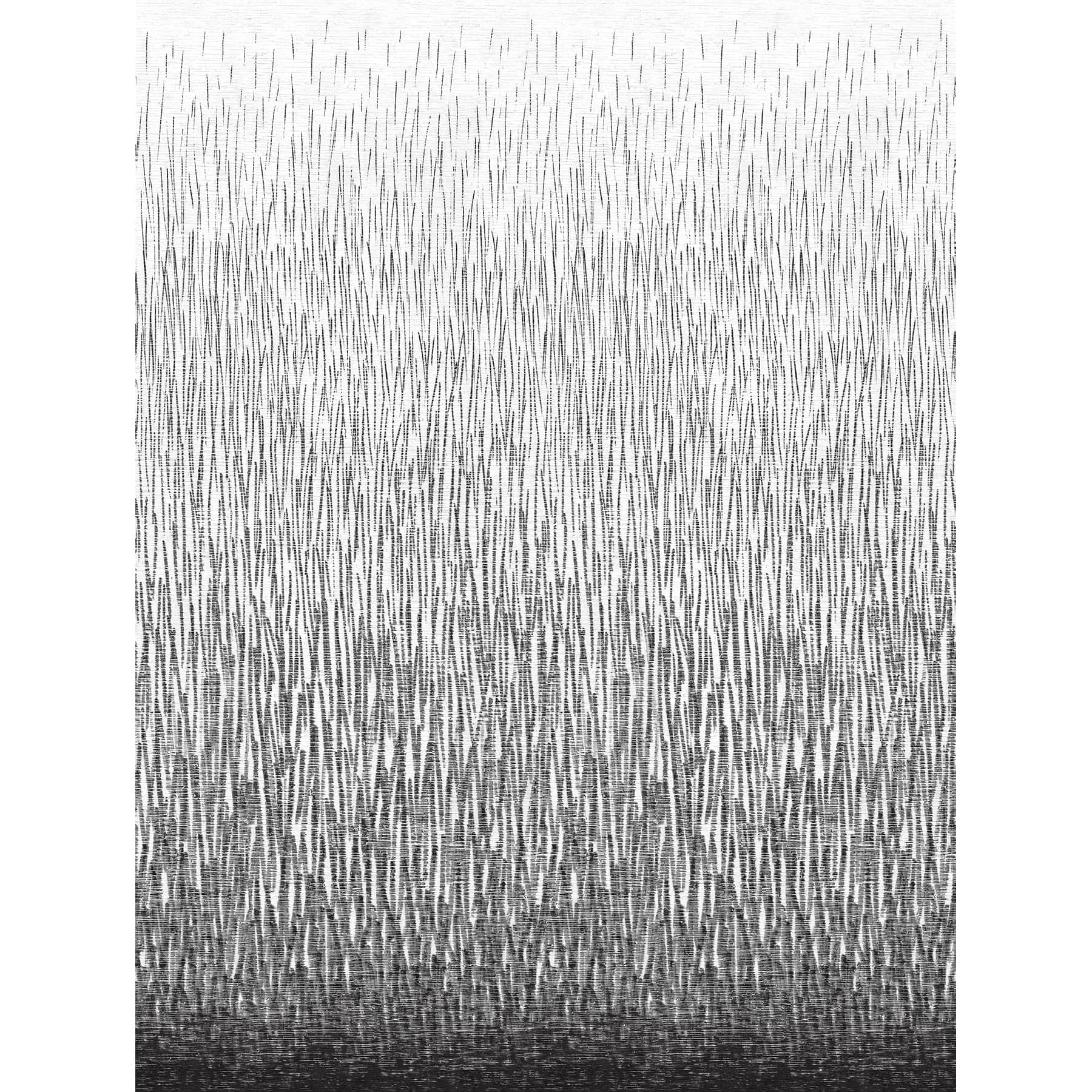 A-Street Prints Amaya Black Wall Mural