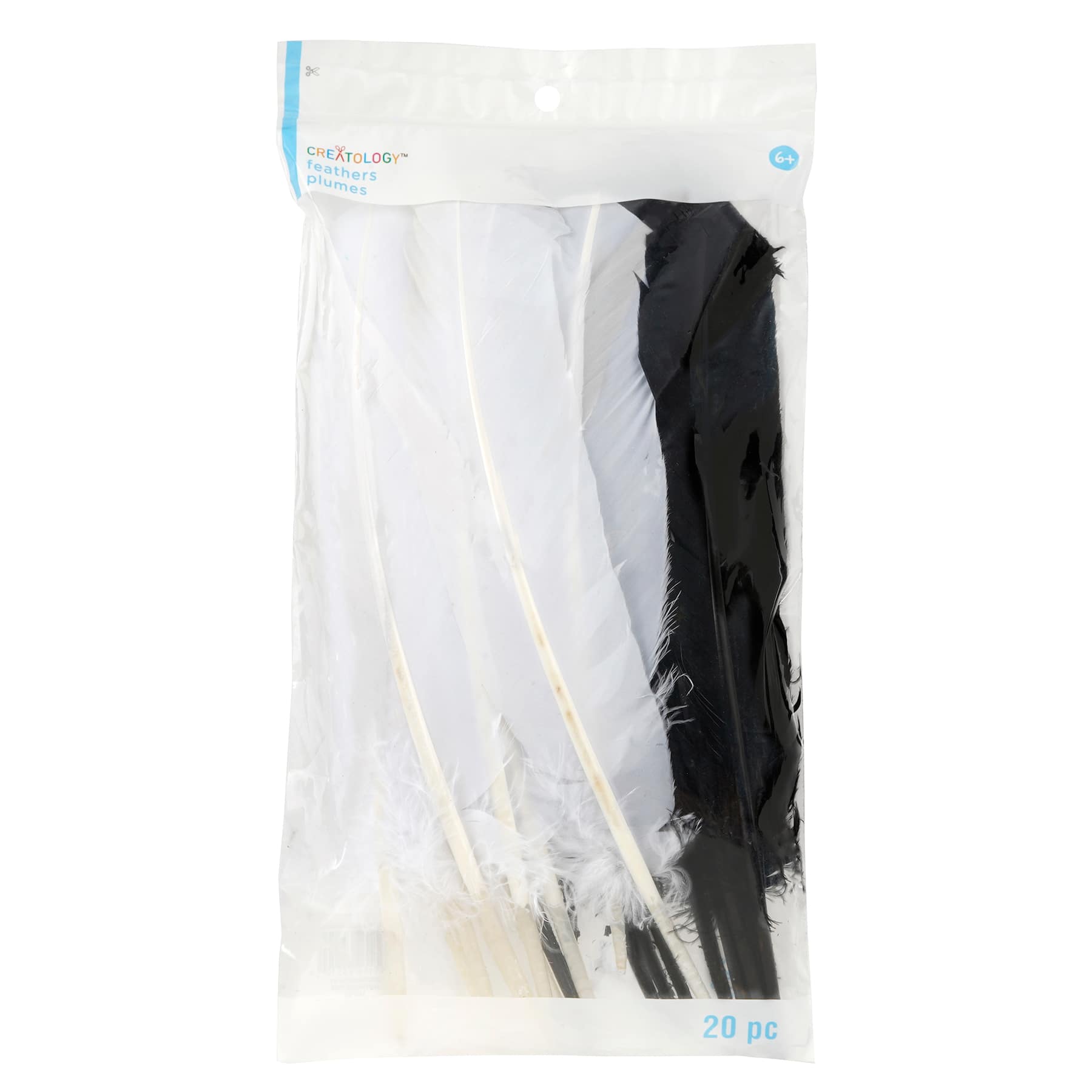 12 Packs: 20 ct. (240 total) Black & White Quill Feathers by Creatology™