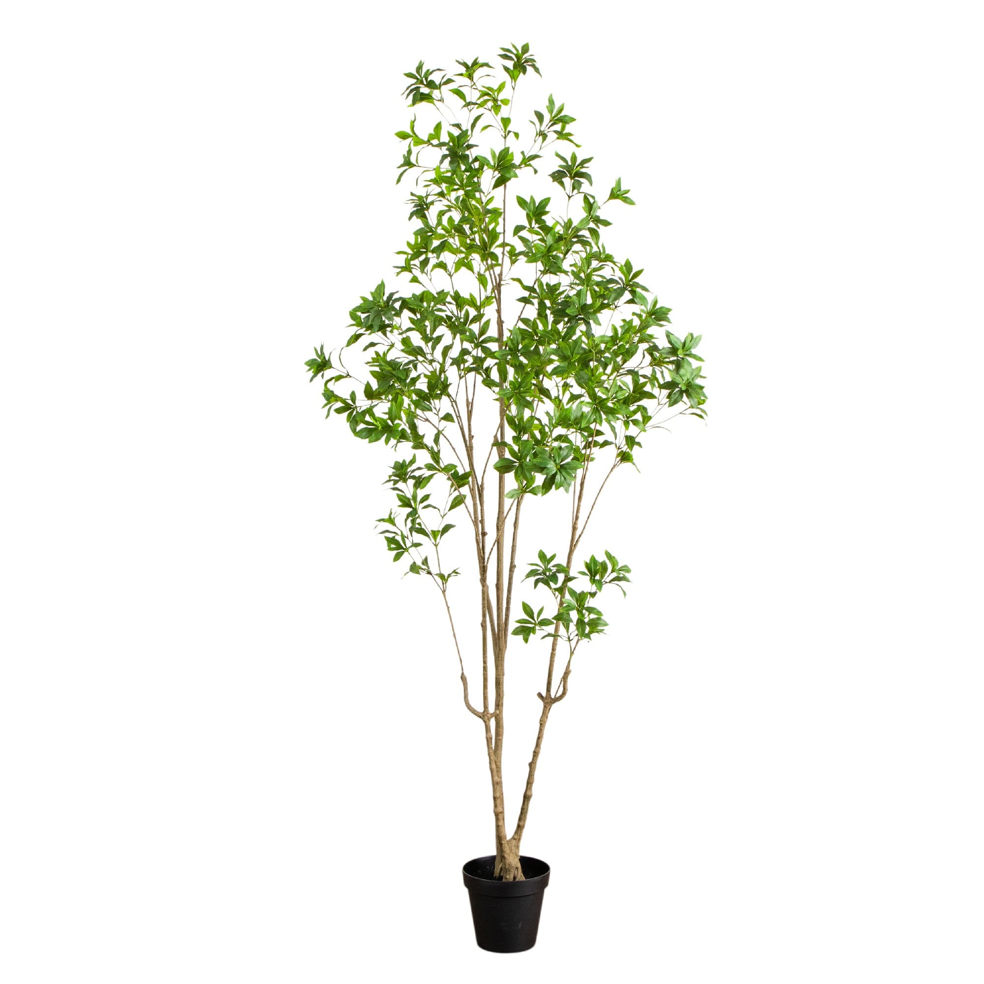 8ft. Artificial Minimalist Japanese Pieris Tree