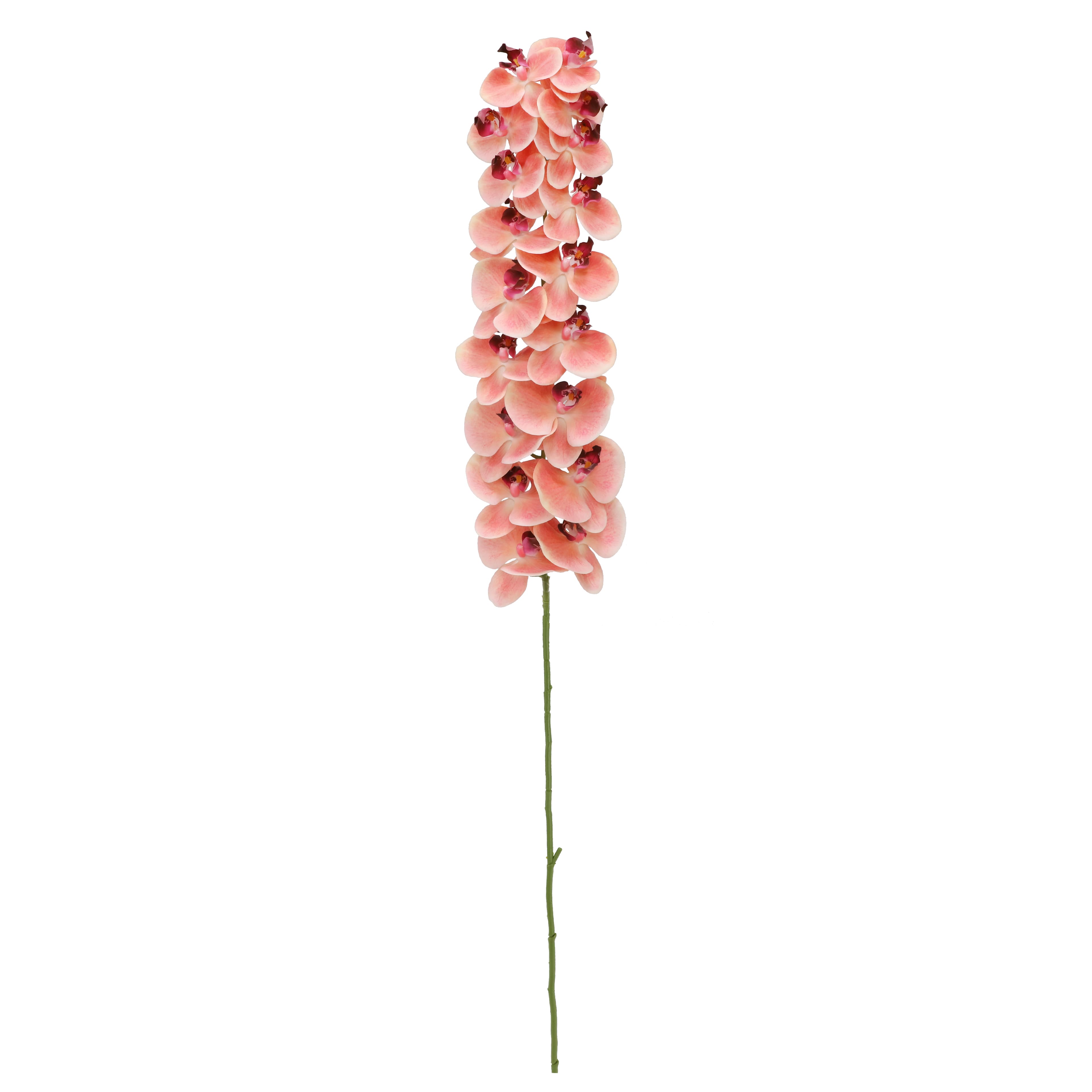 50" Orchid Oversized Stem by Ashland