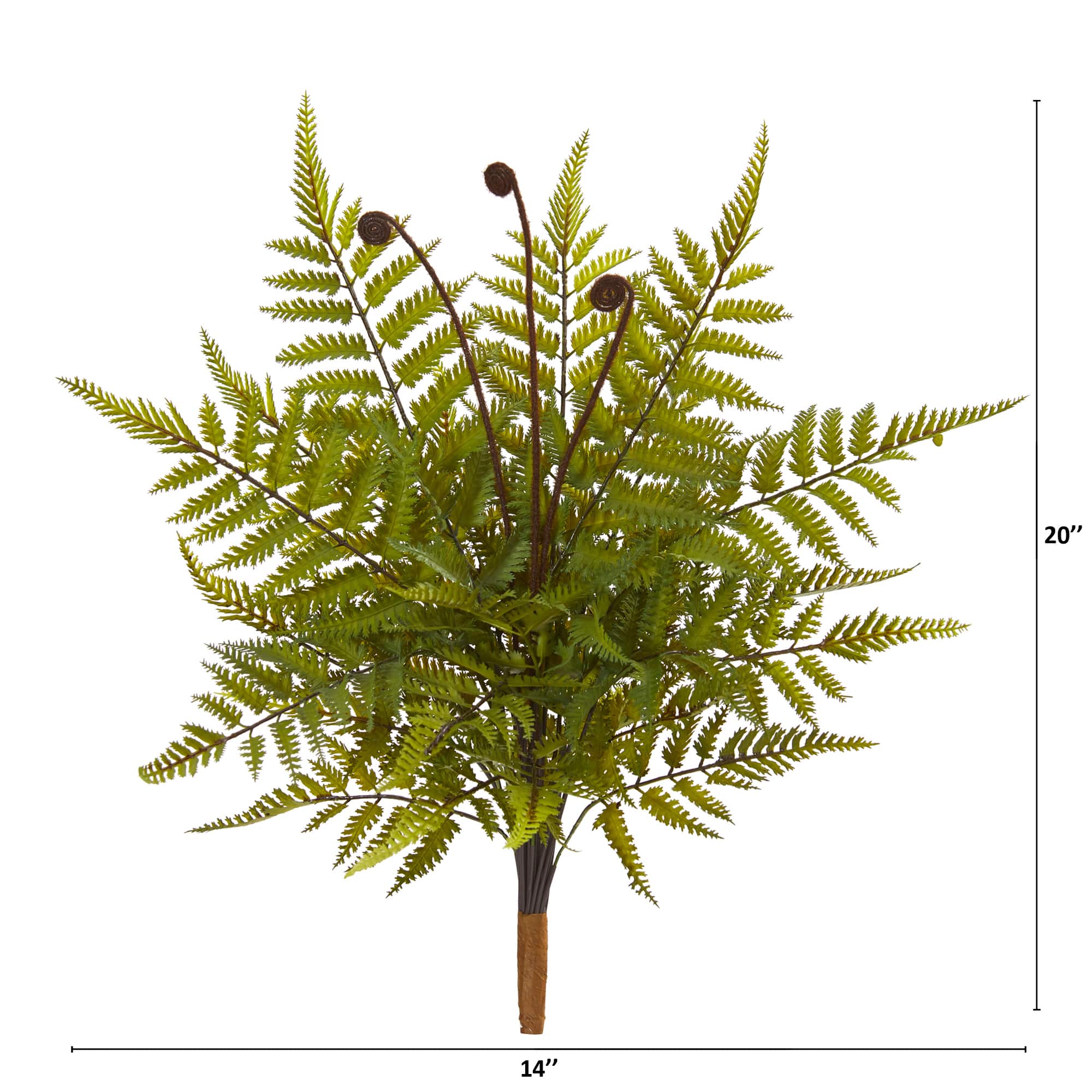 Green Fern Pick, 3ct.