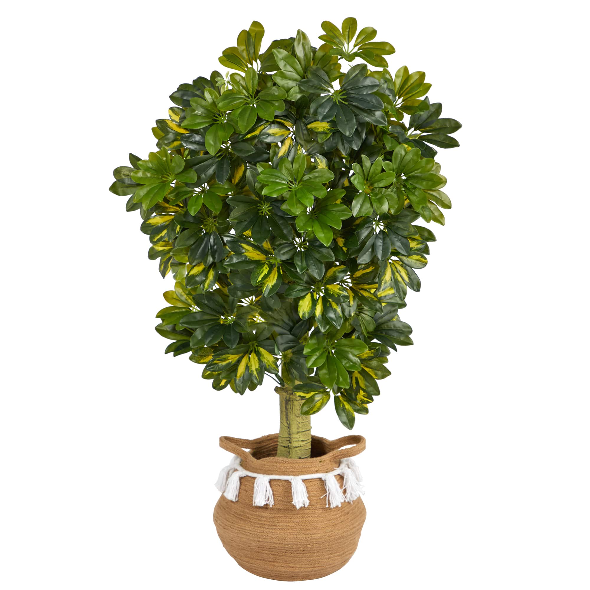 4ft. Schefflera Artificial Tree in Boho Chic Handmade Natural Cotton Woven Planter with Tassels (Real Touch)
