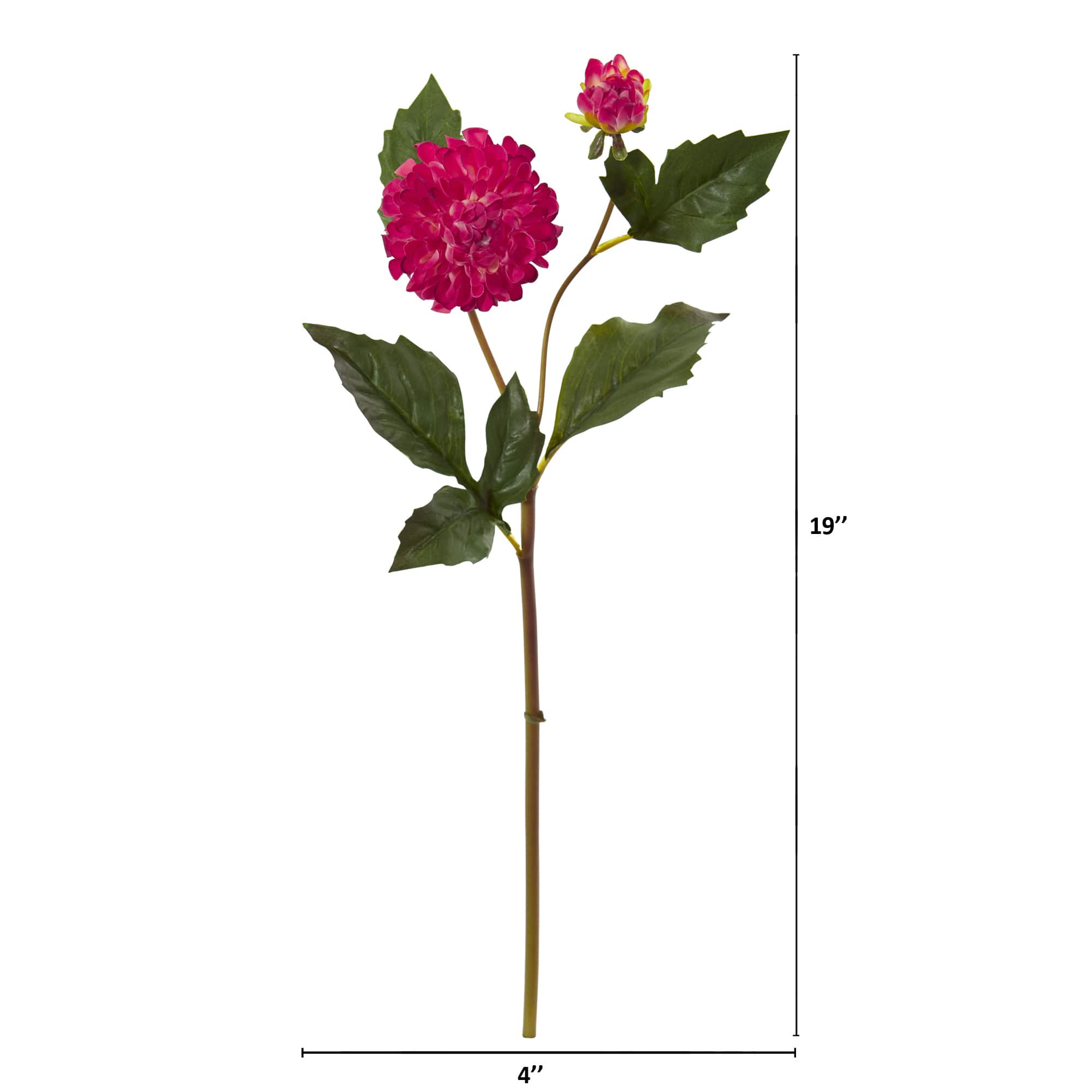 19" Dahlia Stem