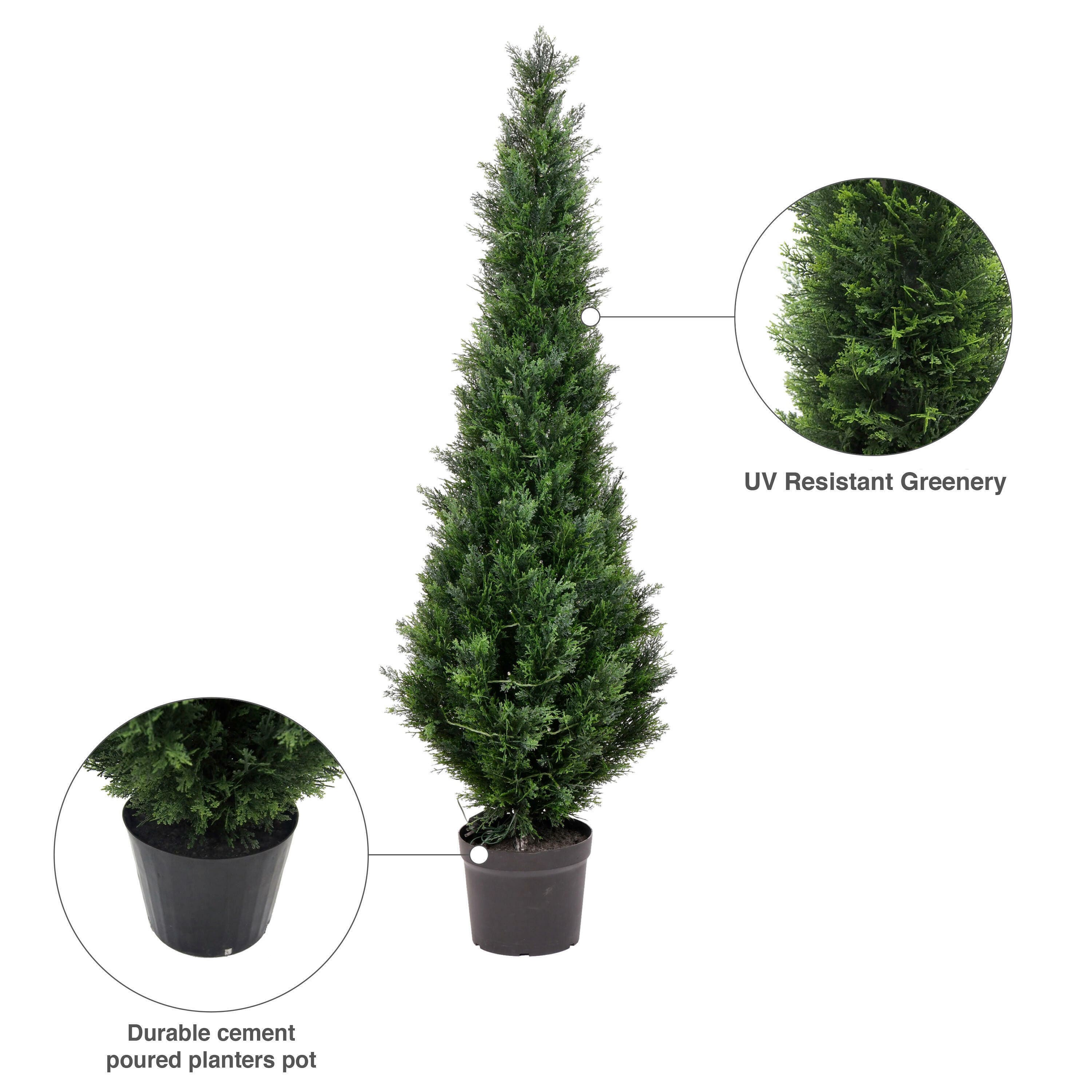 6ft. Potted Cedar Tree