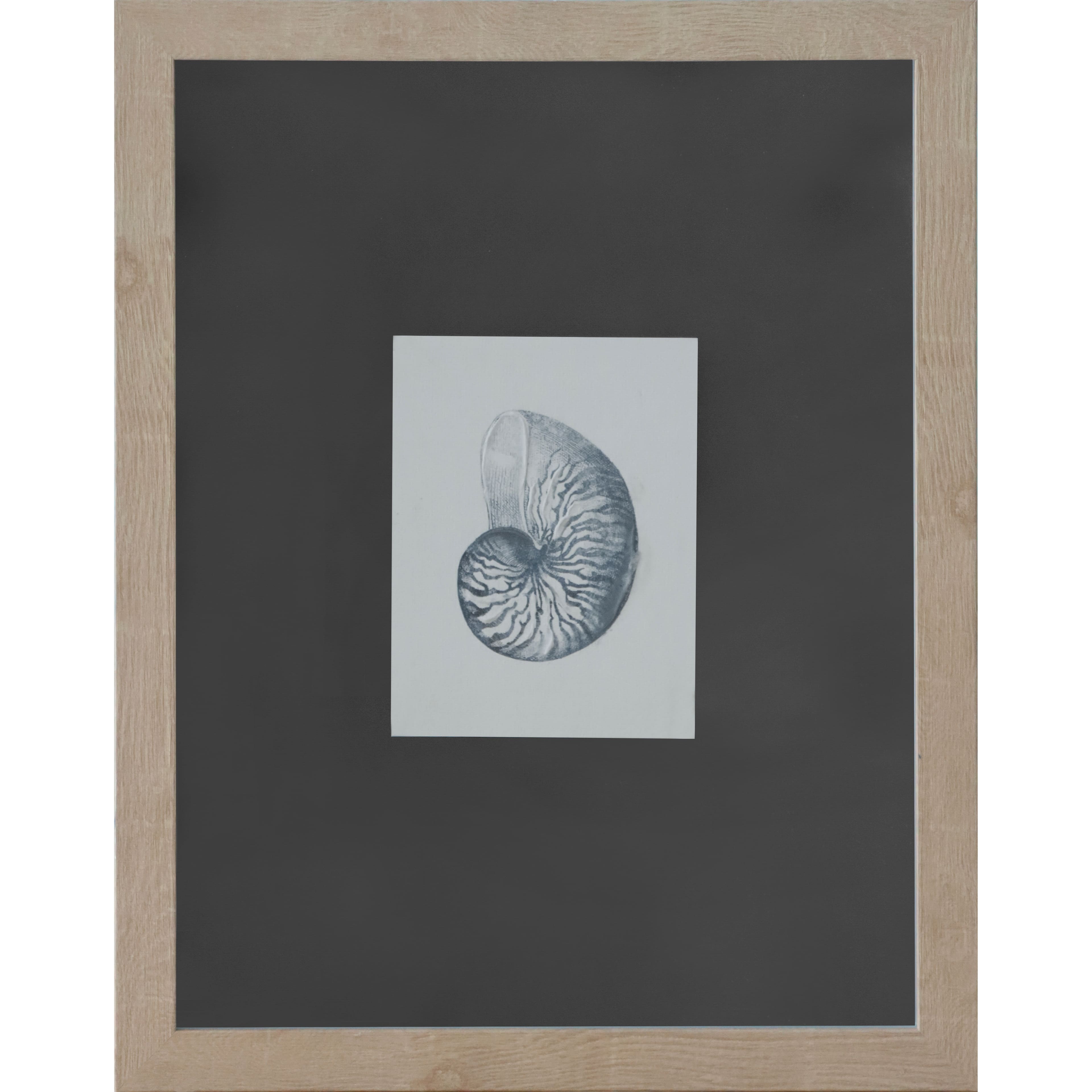11" x 14" Blue Striped Shell Art Wall Décor by Ashland®