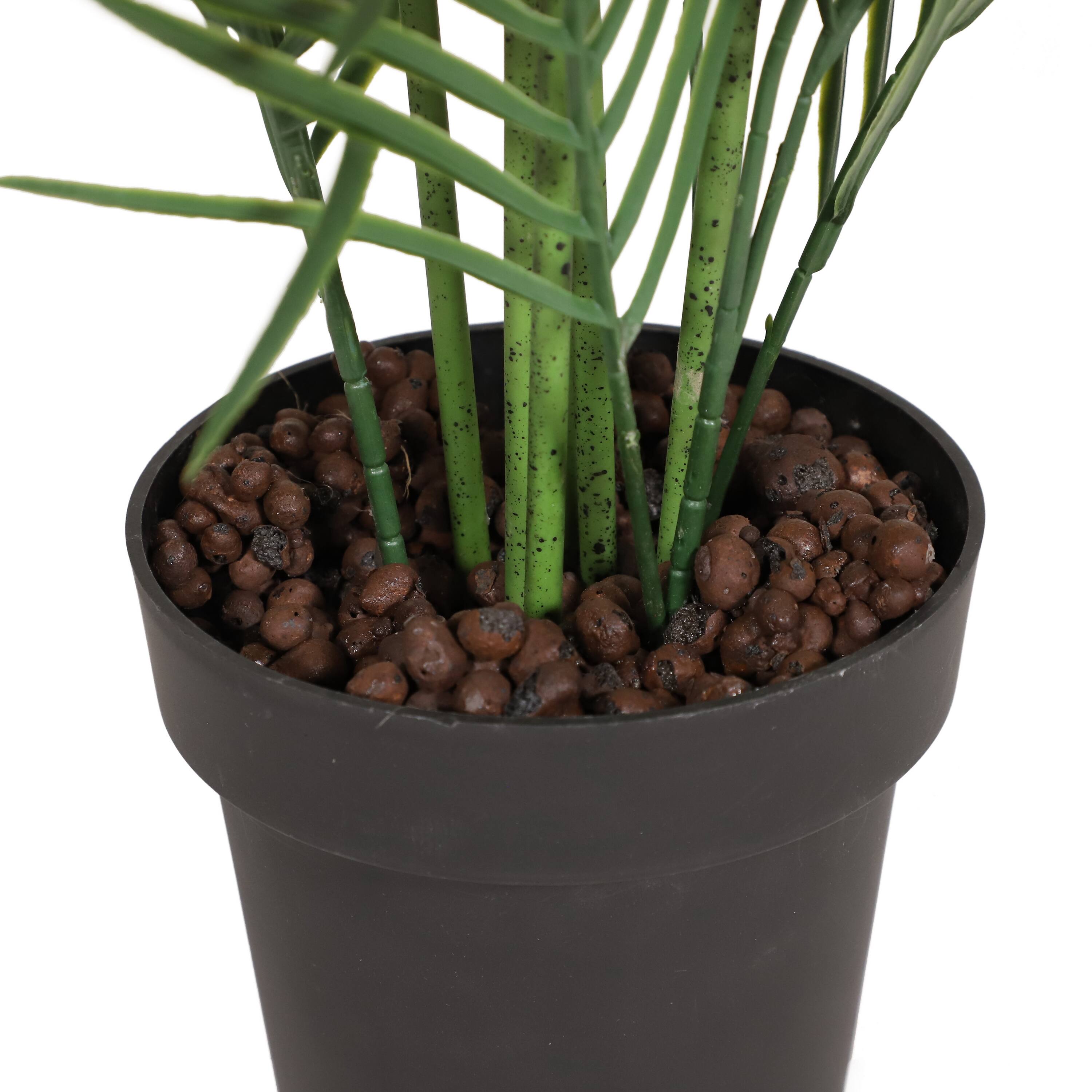 6 Pack: 2.5ft. Potted Areca Palm Tree