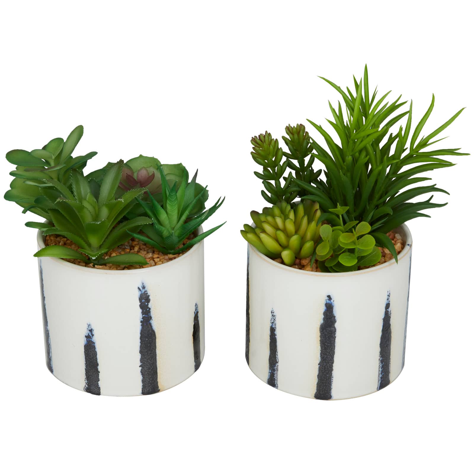 Green Faux Foliage Succulent in Patterned Porcelain Pot Set