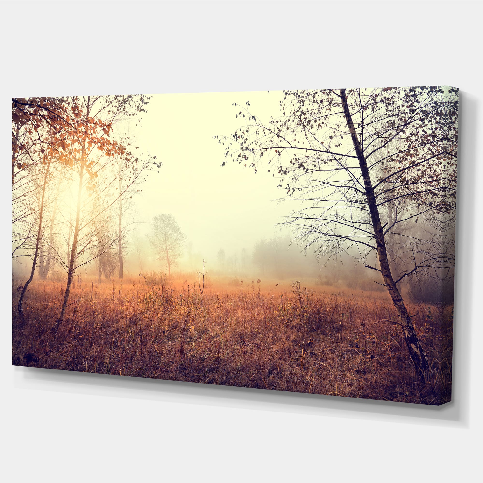 Designart - Charming Rural Field in Morning - Extra Large Wall Art Landscape