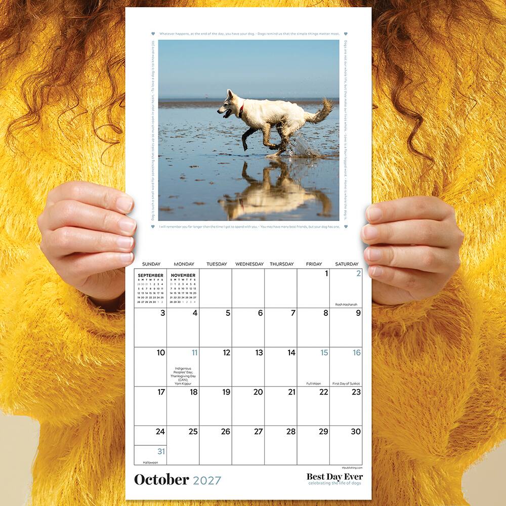 2027 Best Day Ever: Dogs Mini Calendar