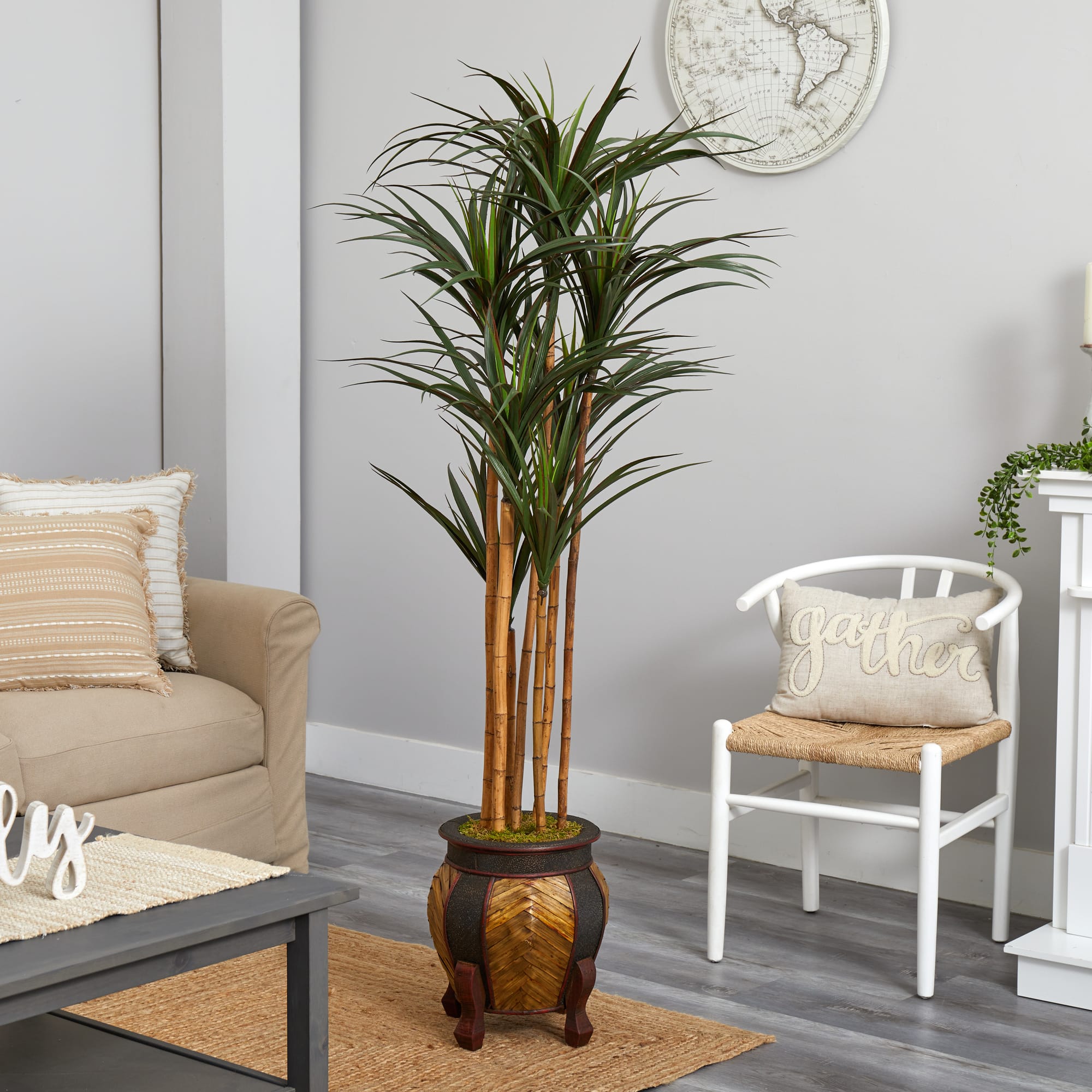 5ft. Giant Yucca Tree in Decorative Planter