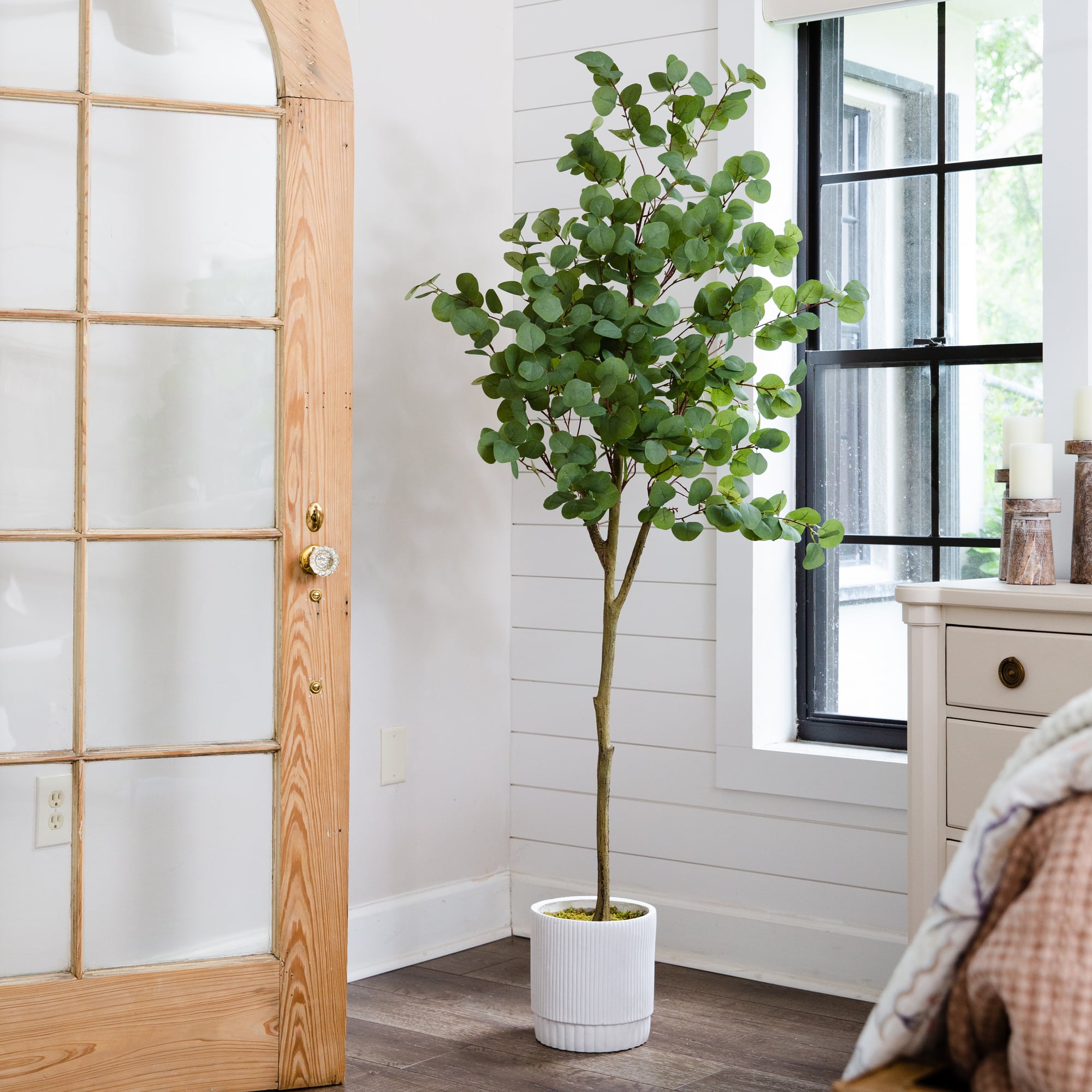 6ft. Artificial Eucalyptus Tree with White Decorative Planter