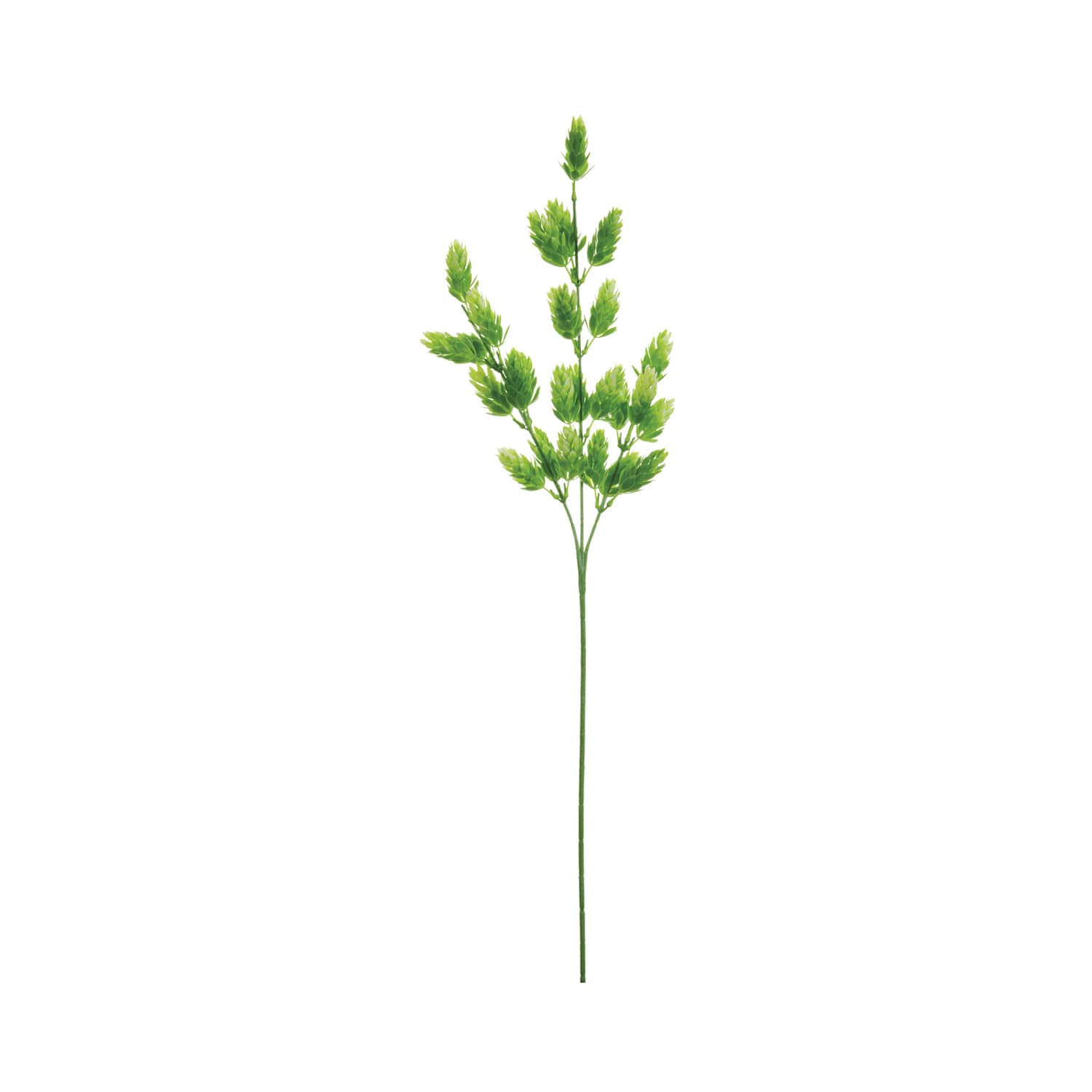 Green & Cream Hops Spray
