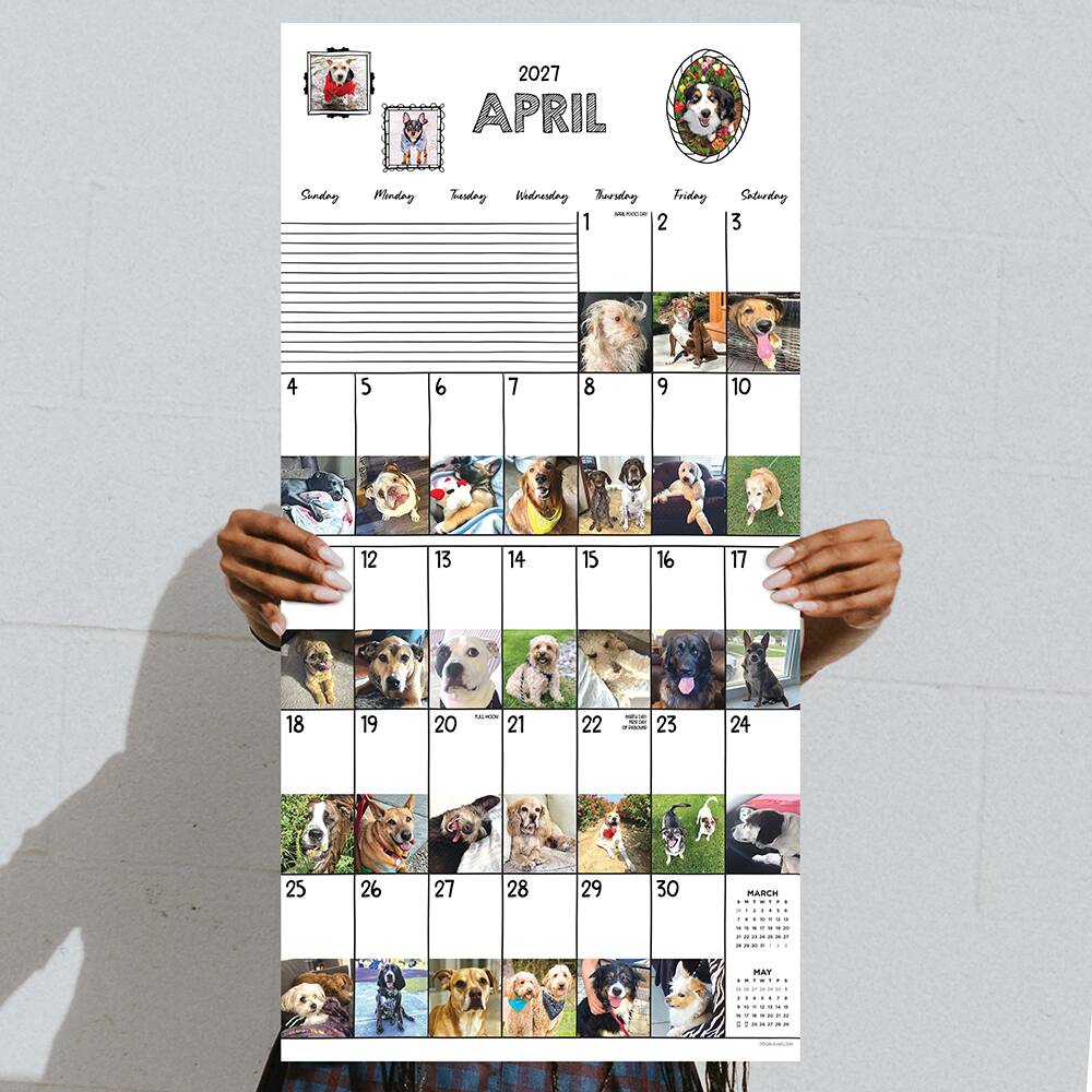 2027 Dog-A-Day Wall Calendar