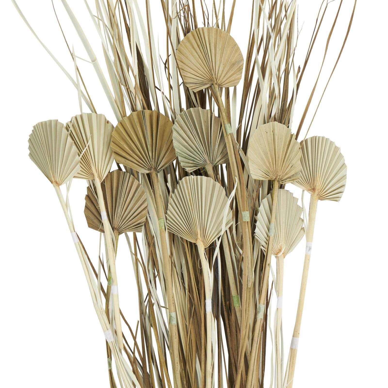 4.75ft. Brown Dried Plant Palm Leaf Natural Foliage with Grass