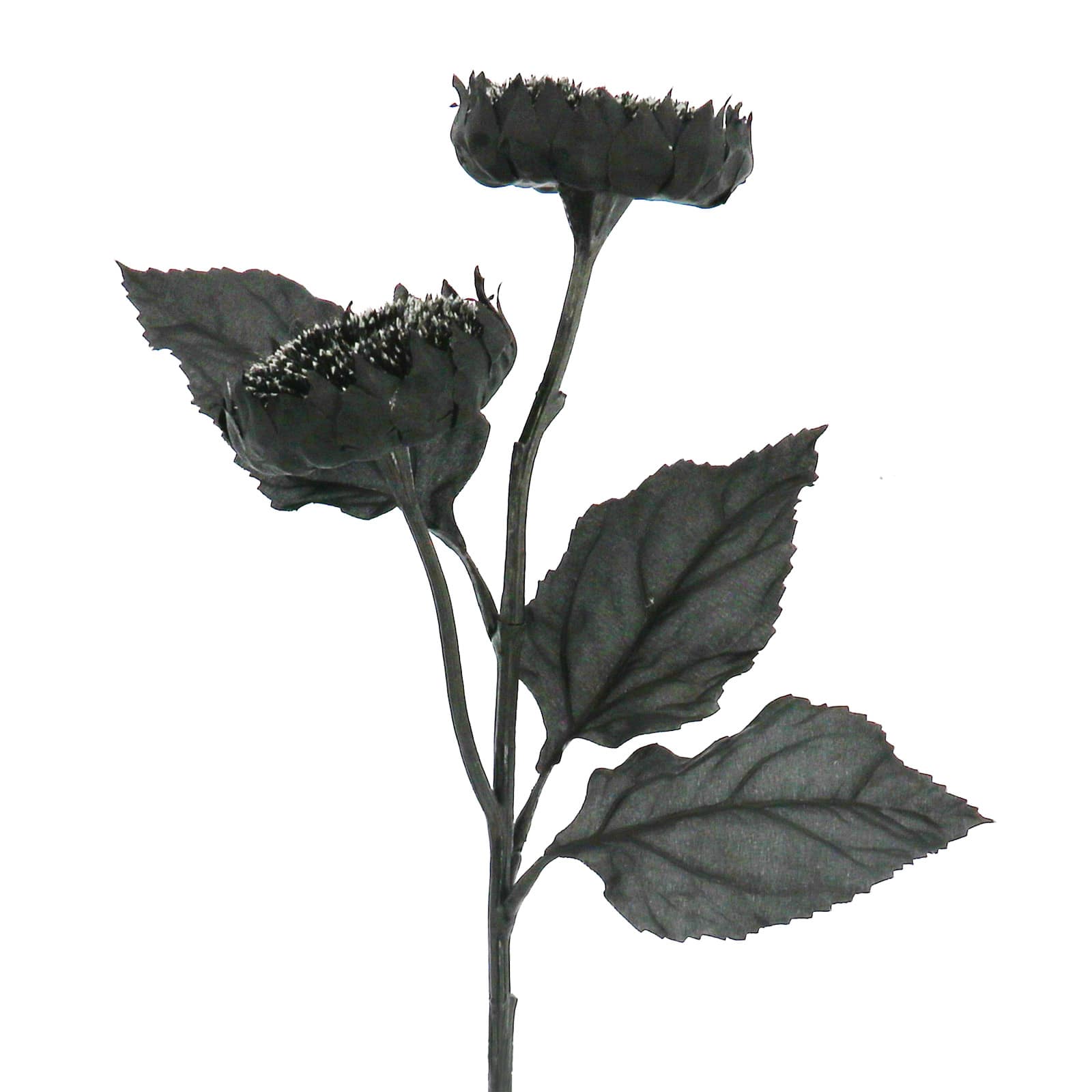 26" Black Sunflower Stem by Ashland®
