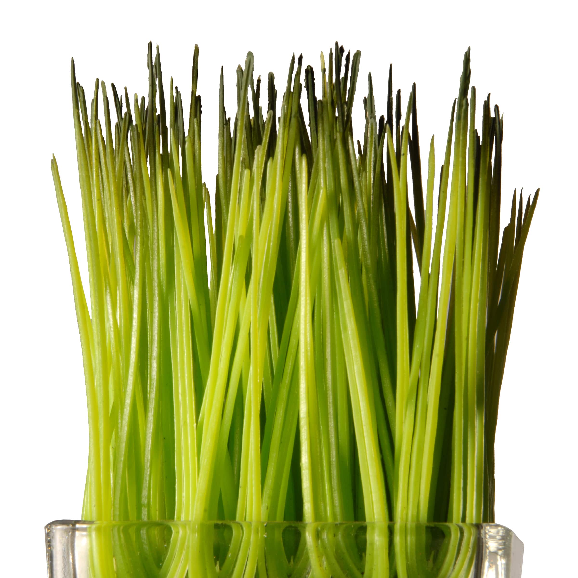 3-Piece Square Sprout-Filled Glass Assortment
