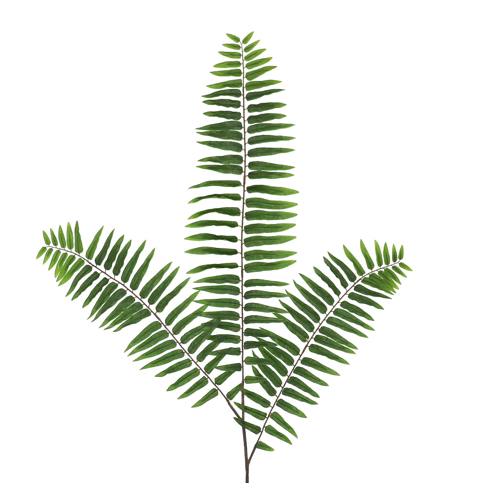 70" Oversized Fern Leaf Stem by Ashland®
