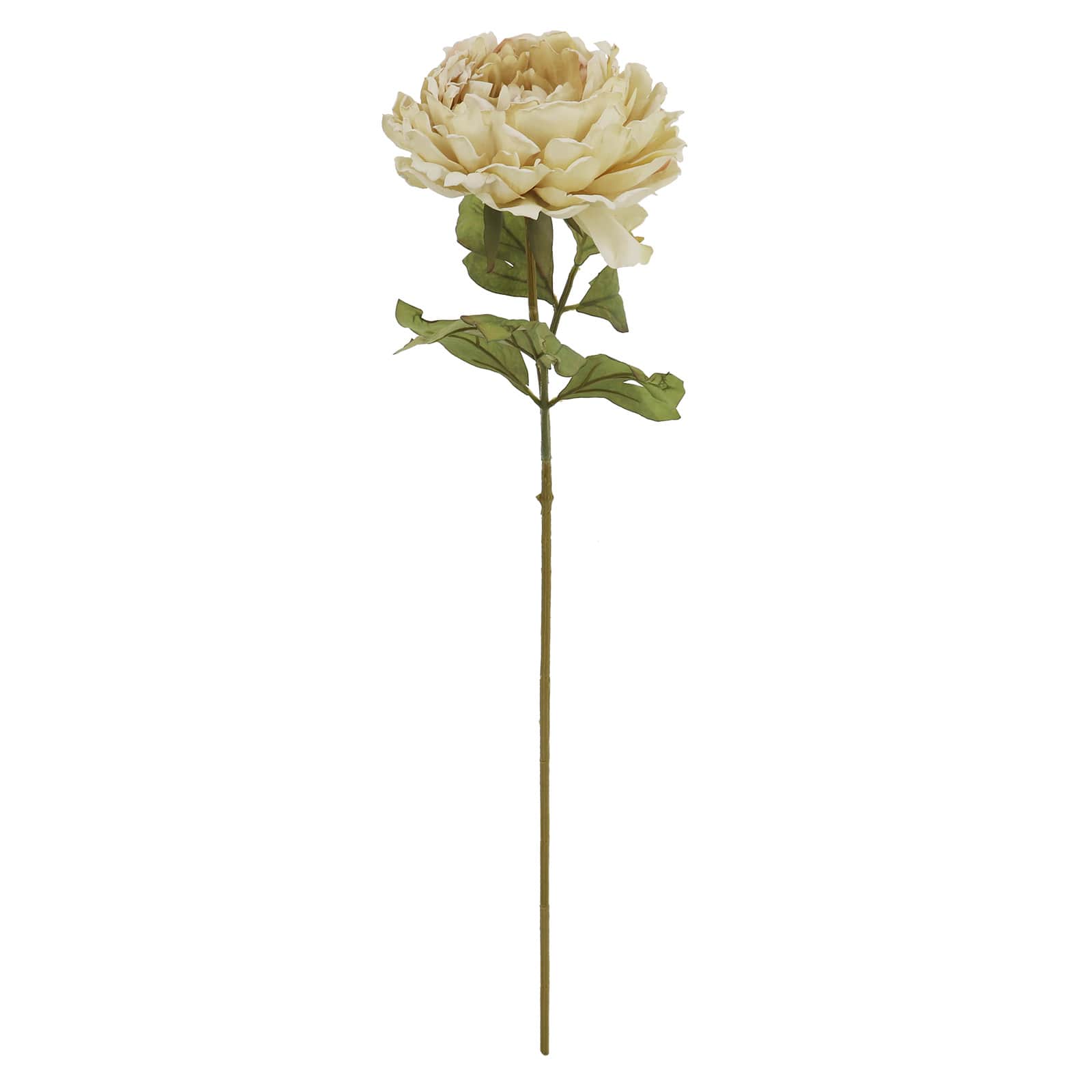 27" Peony Stem by Ashland®