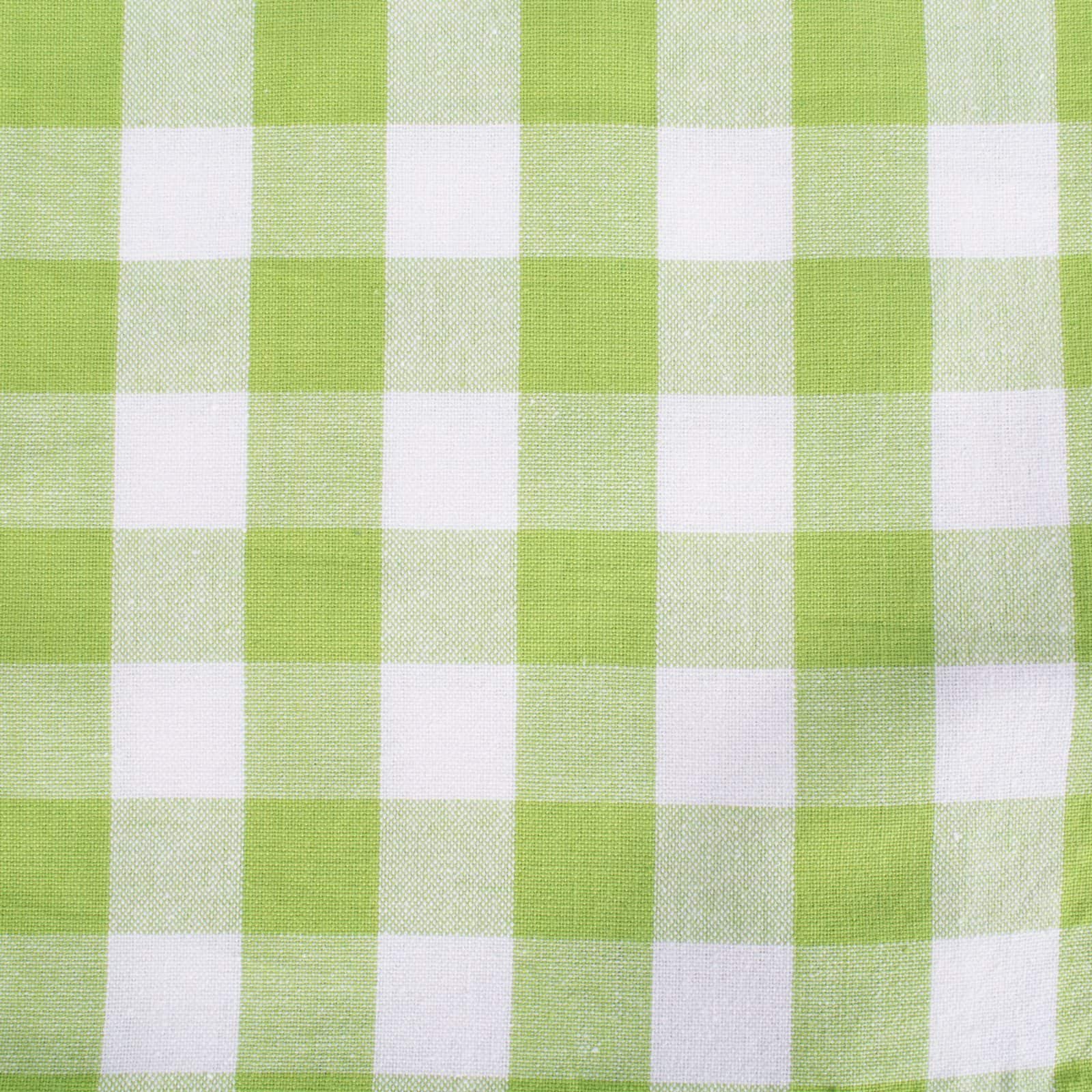 DII® Green Apple & White Check Cloth Dinner Napkins, 6ct.