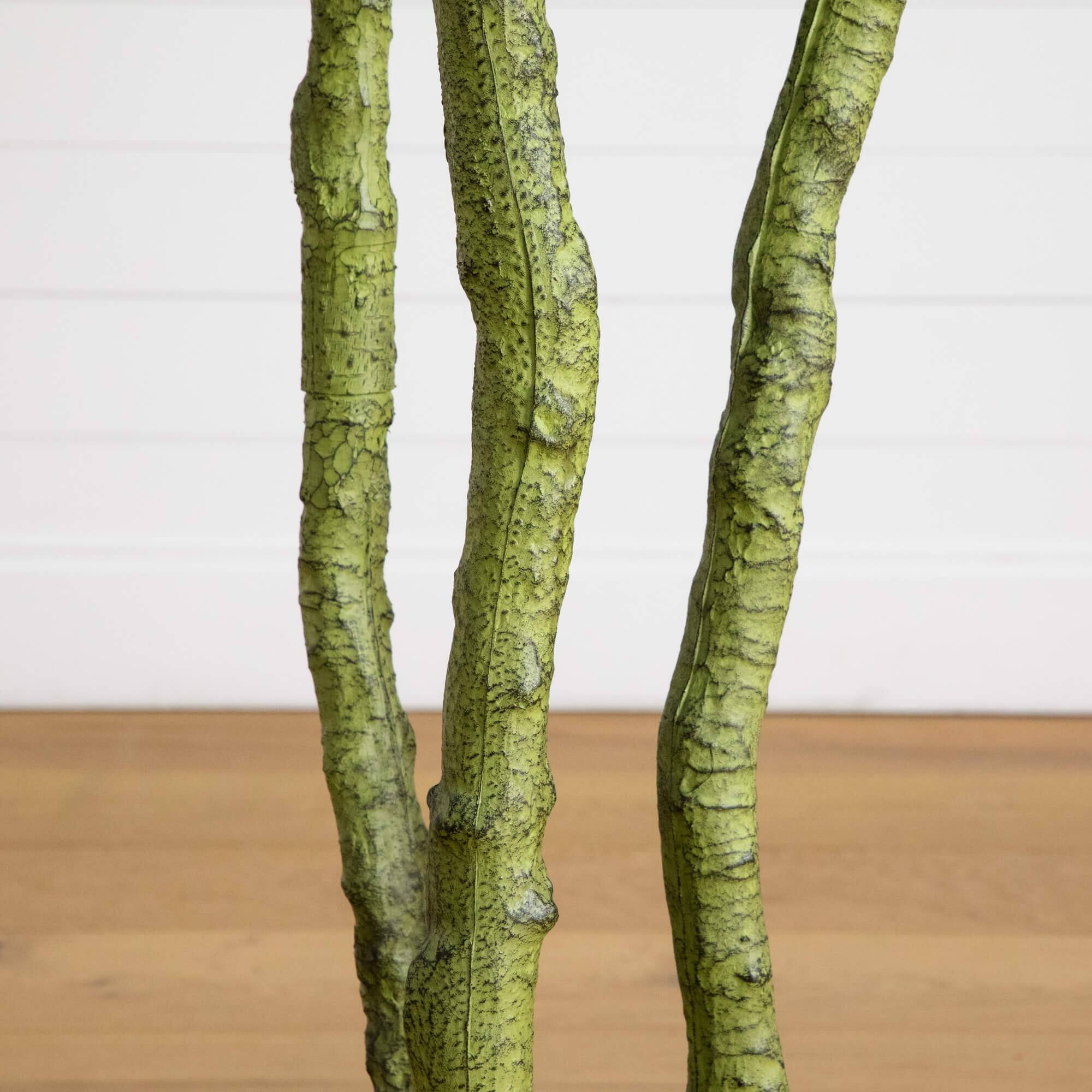 6ft. UV Resistant Artificial Bird Nest Fern Tree (Indoor/Outdoor)
