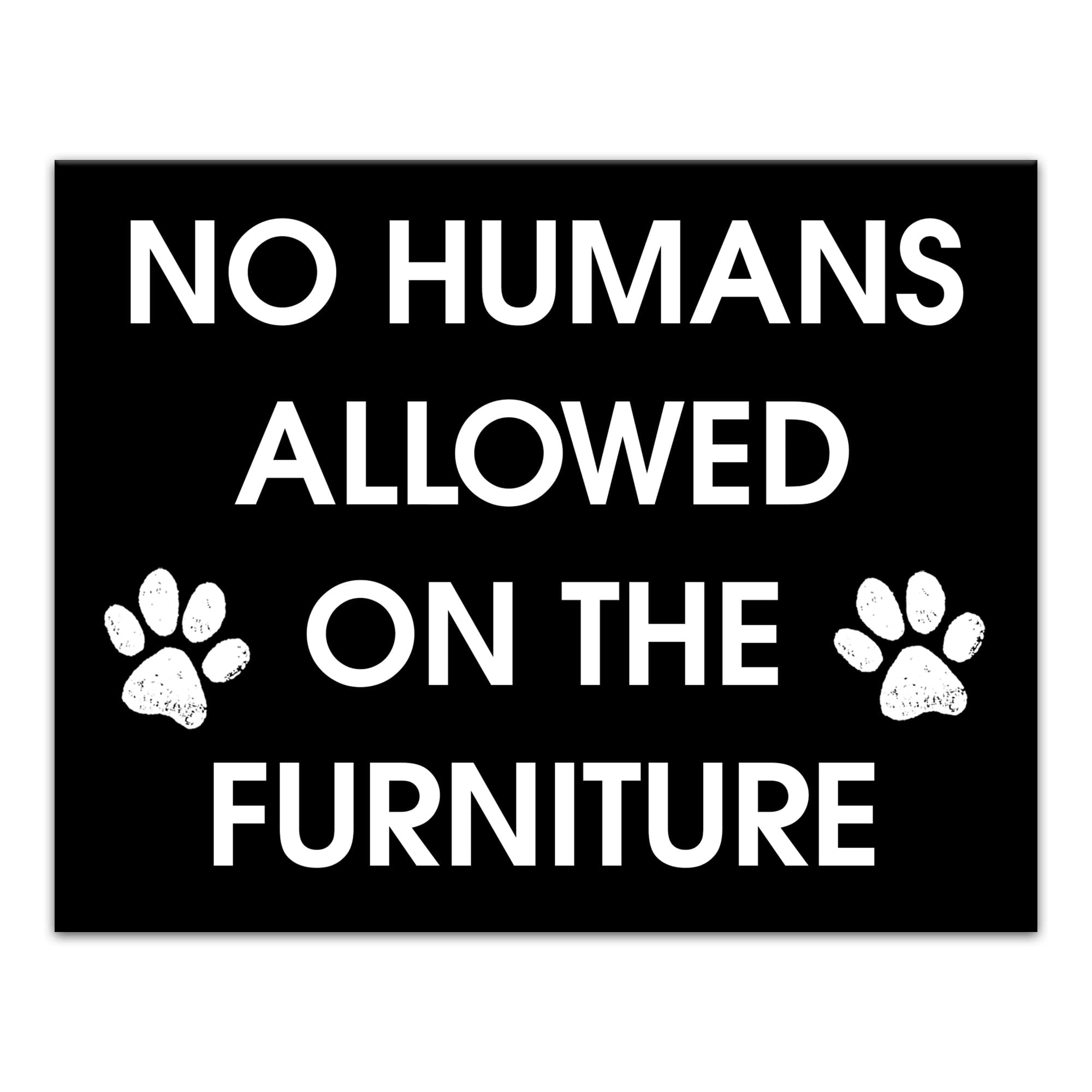 No Humans Allowed on the Furniture Canvas Wall Art