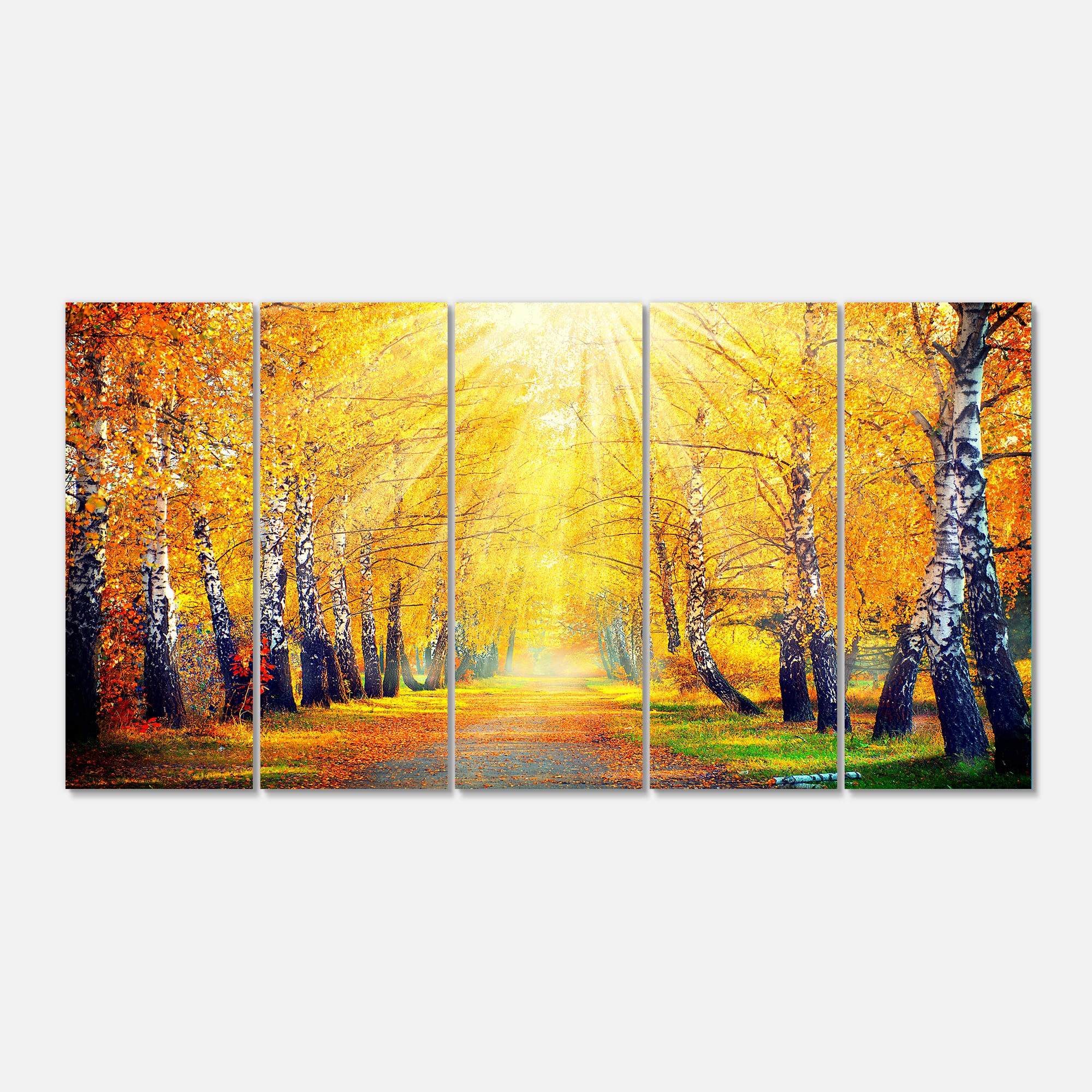 Designart - Yellow Autumn Trees in Sunray